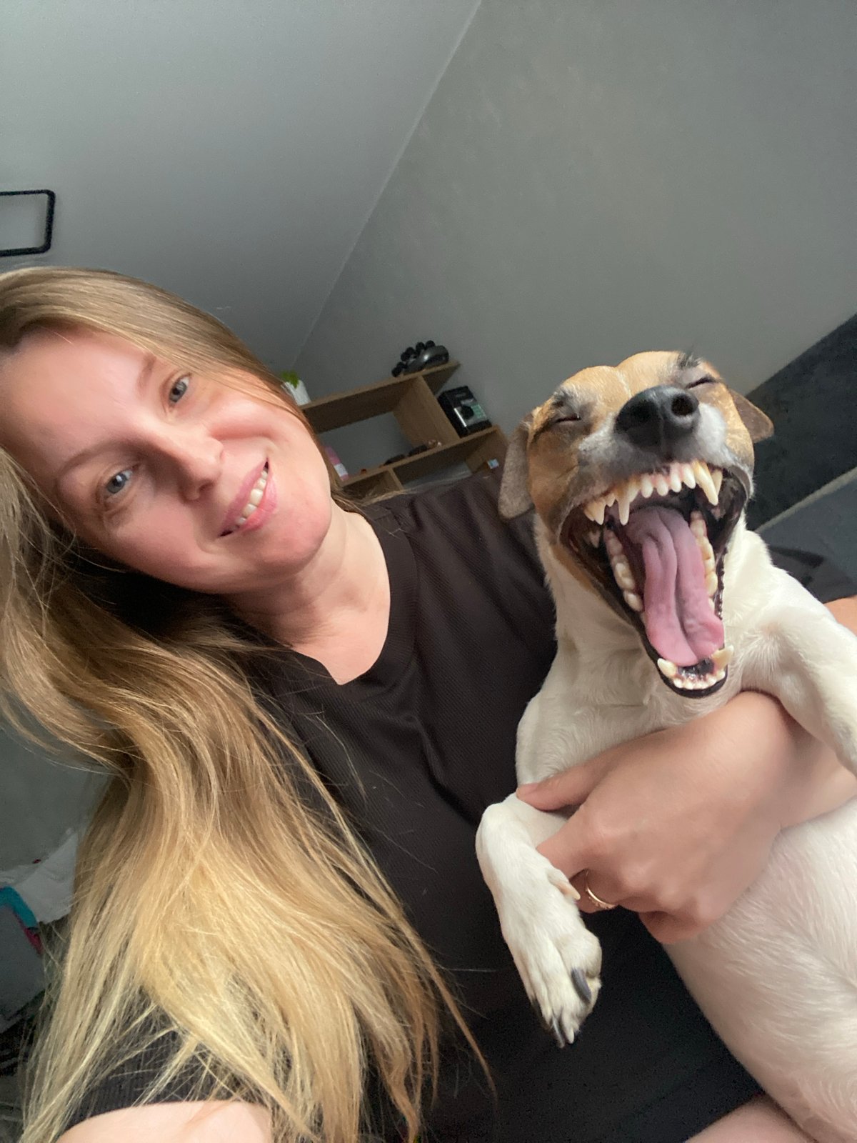 Woman documents morning routine with dog, flowers in Noviy