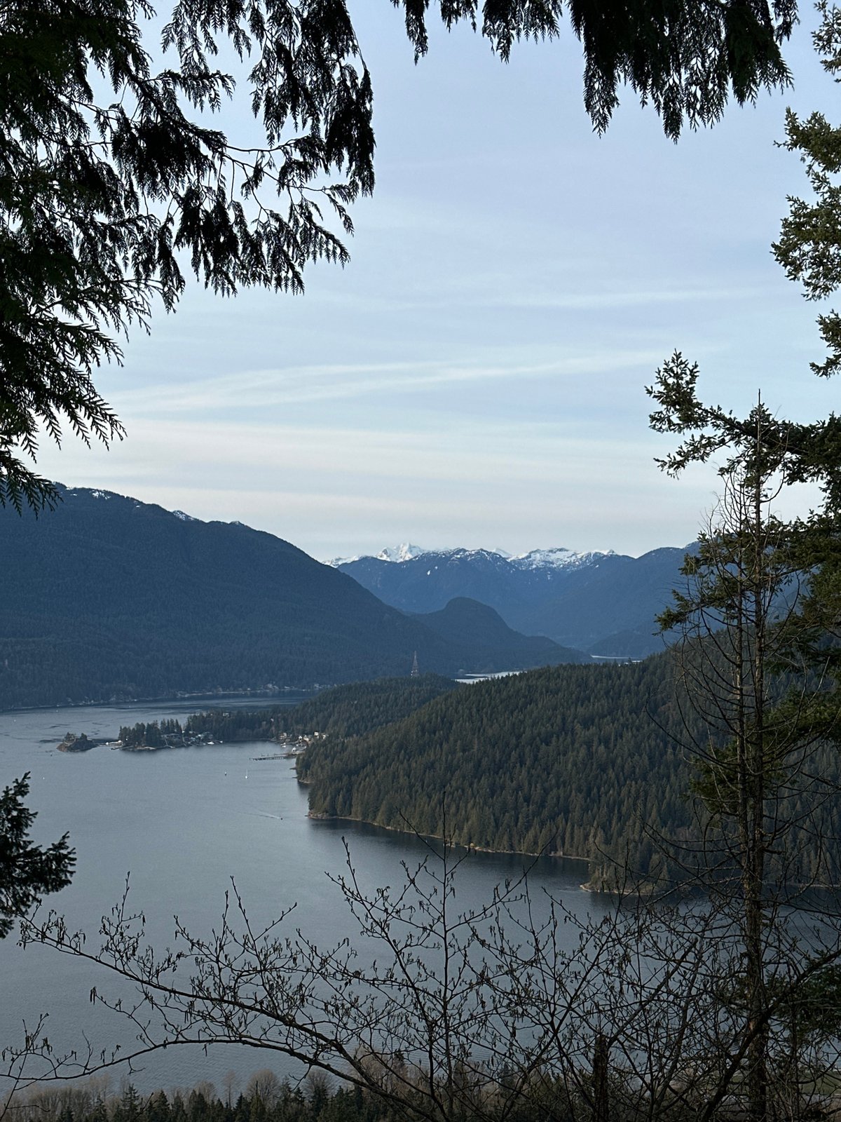 Morning scenic views captured across Burnaby parkland and lakeside