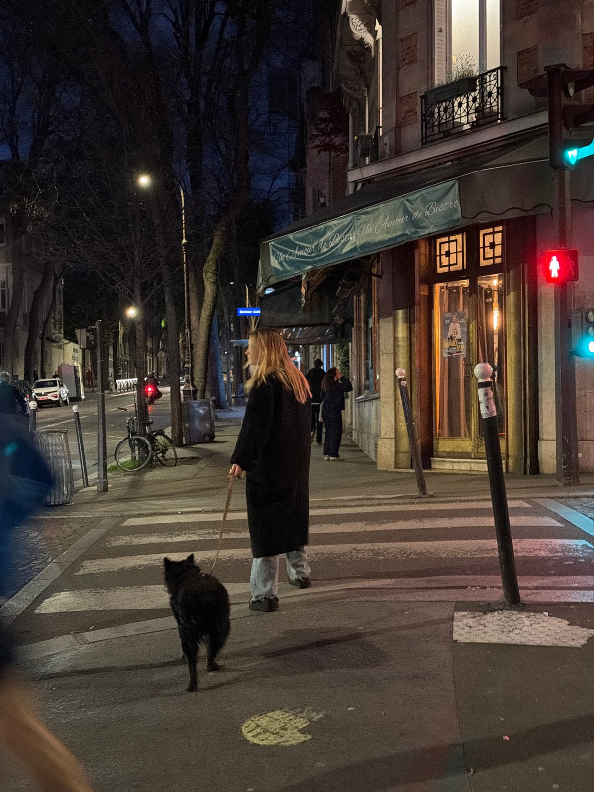 Evening street life and illuminated buildings documented across Paris