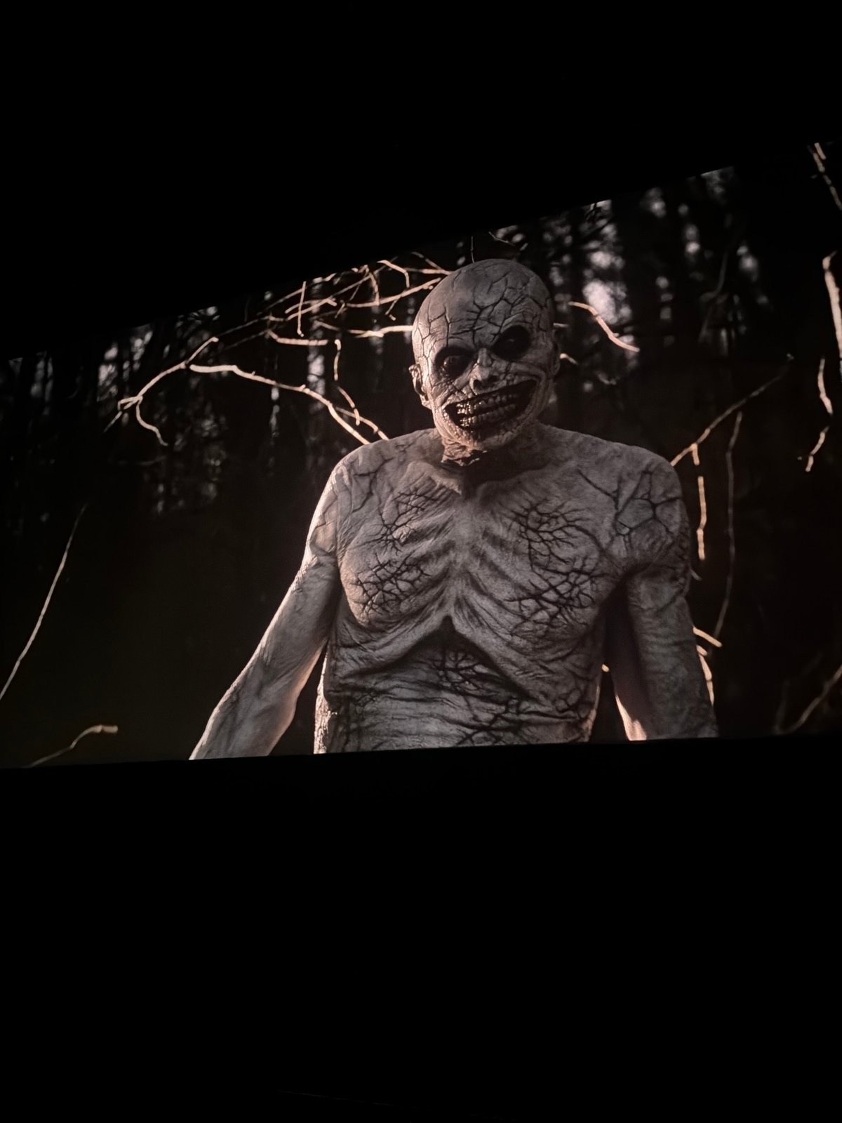 Skeletal mannequin spotted in Sofia woods