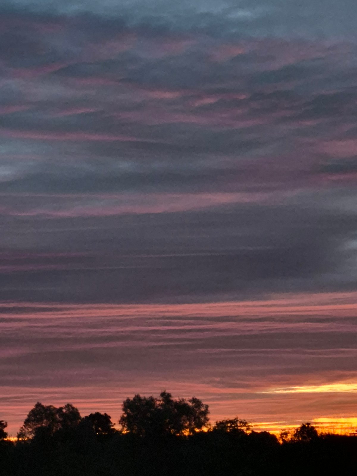 Layered sunset sky above a silhouetted treeline in Sooblase, Estonia