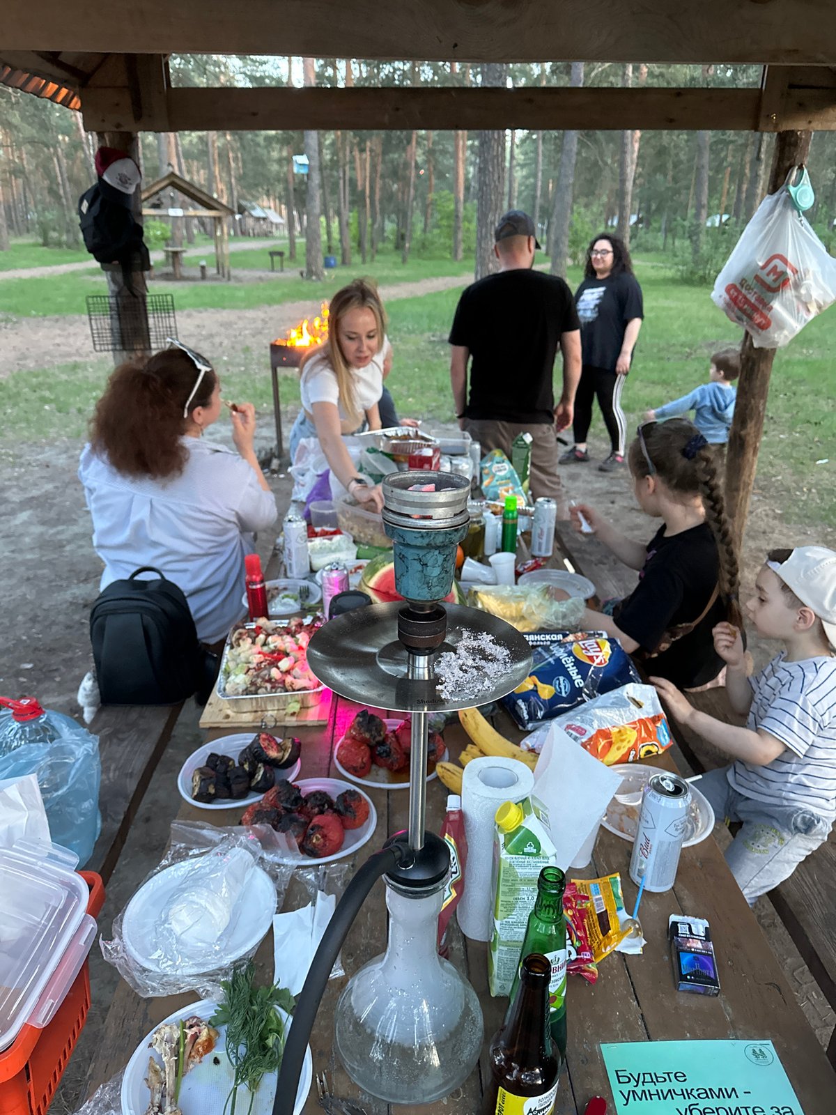 Forest picnic gathering with hookah, food, dog near Vladimir