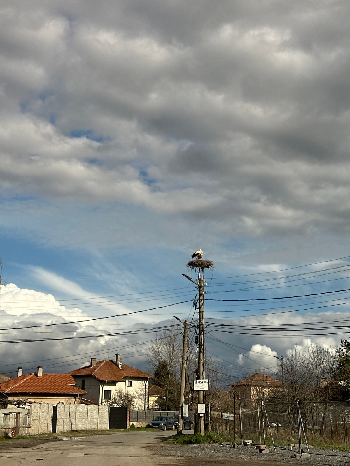 Stork nests on utility pole in Bulgarian village