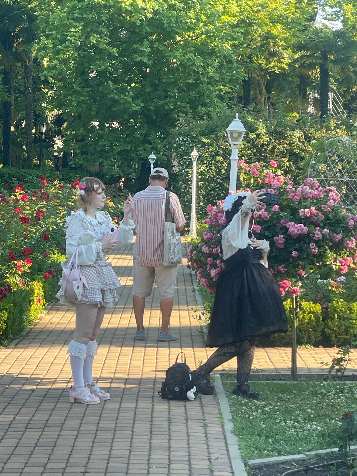 Sunny afternoon in Sochi: parks, roses, and amusement rides