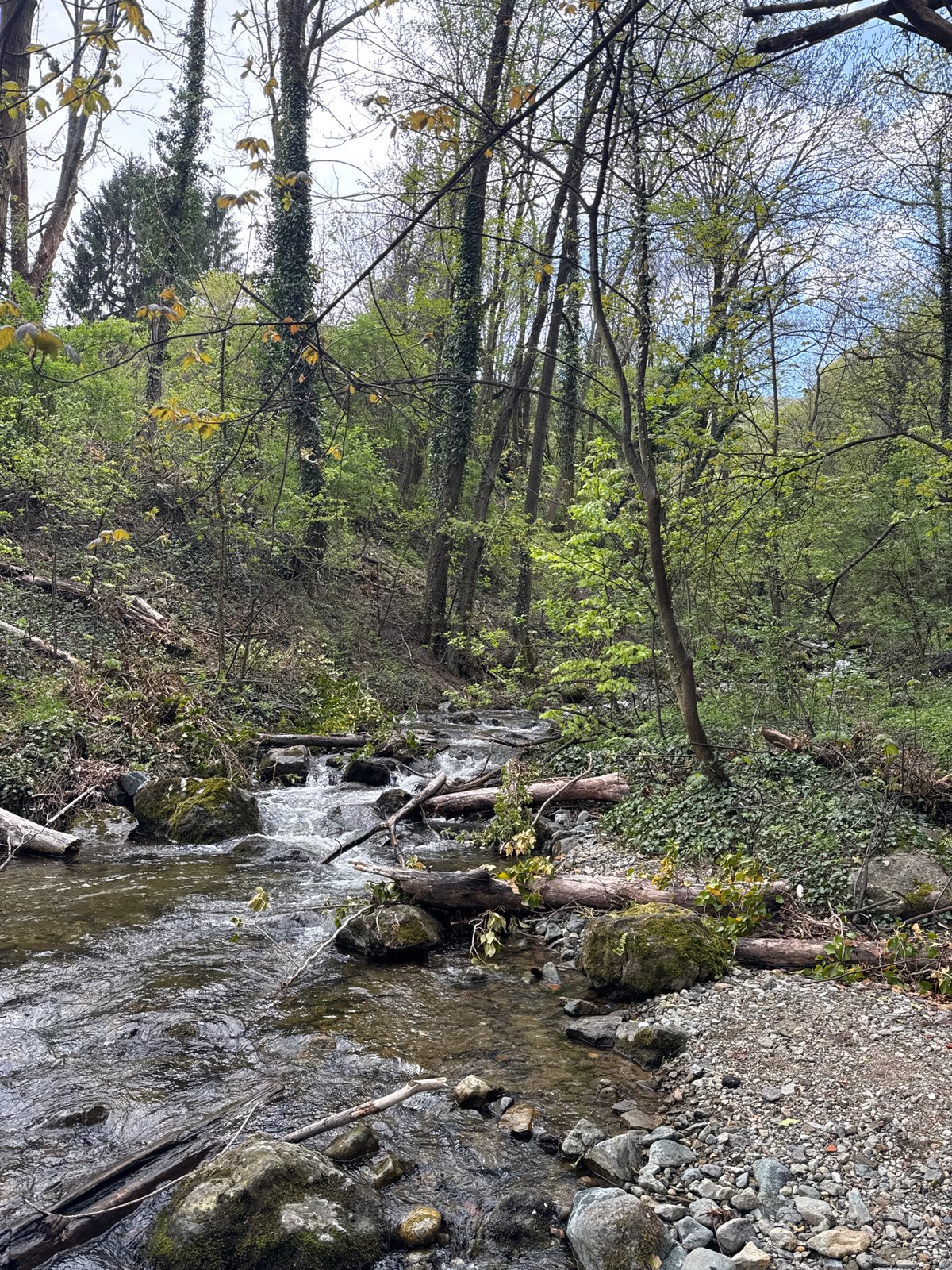 Stream with small cascades documented in Sofia woodland area
