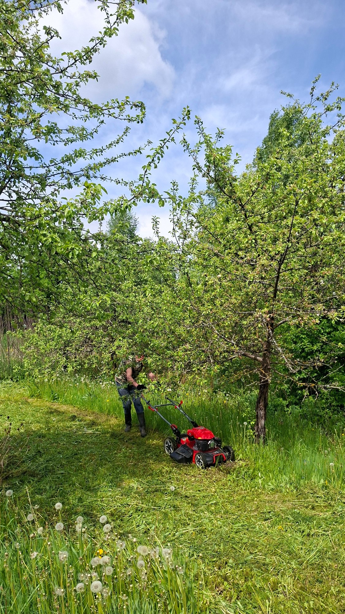 Spring yard work day in rural Belarus village