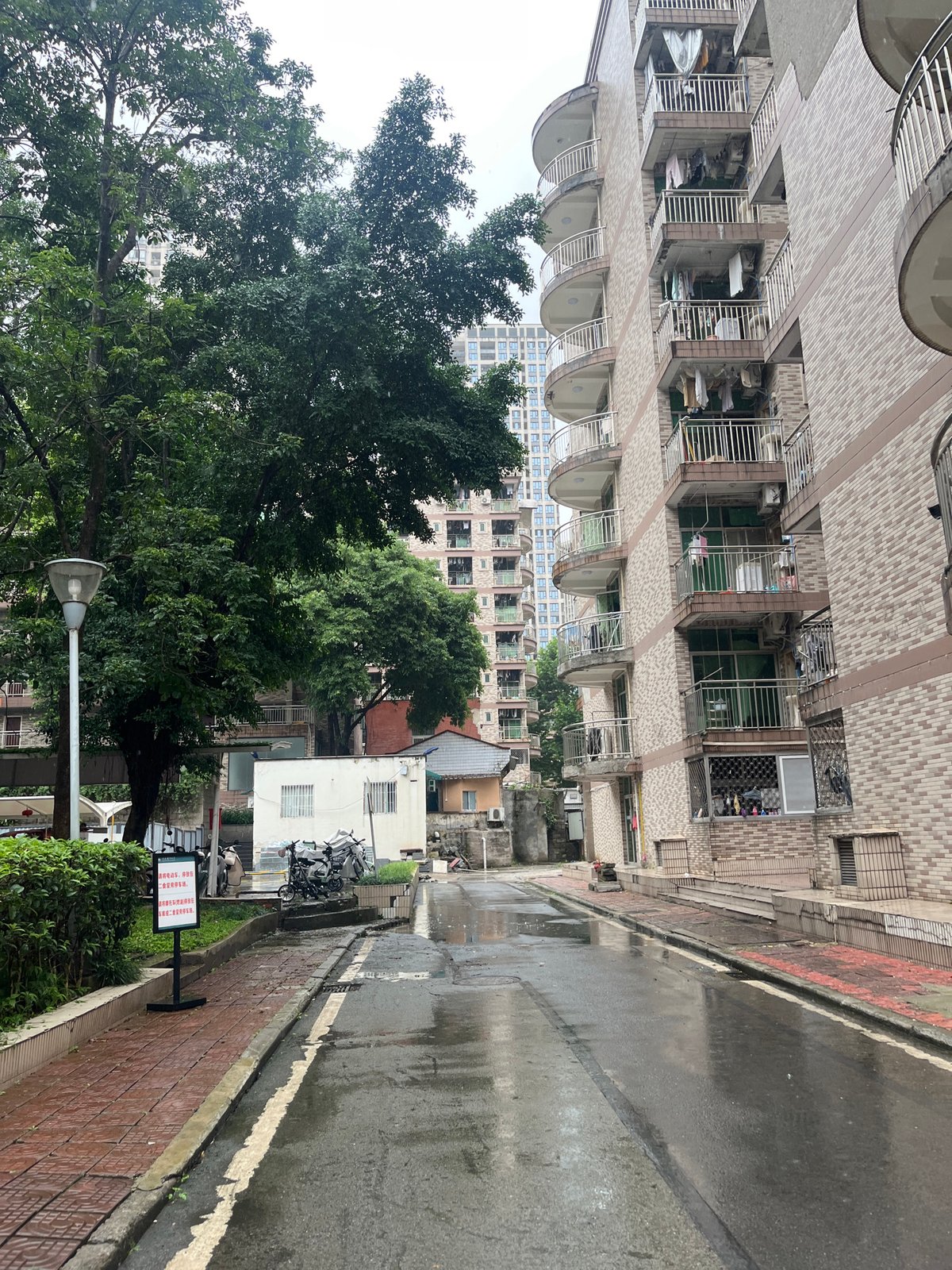 Post-rainfall scenes documented in Yuzhong District, China