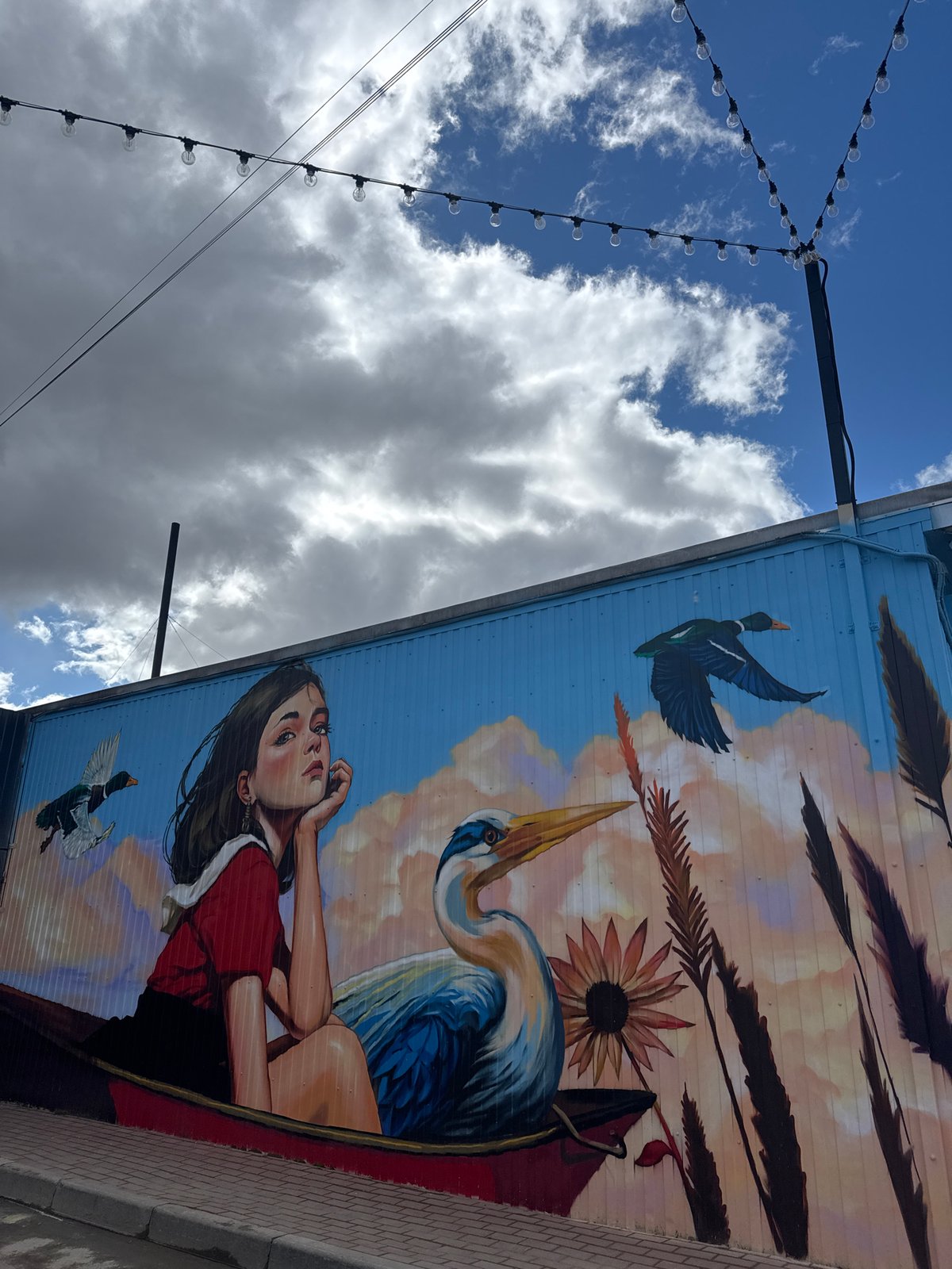 Street art and umbrella installations documented in Osa Russia