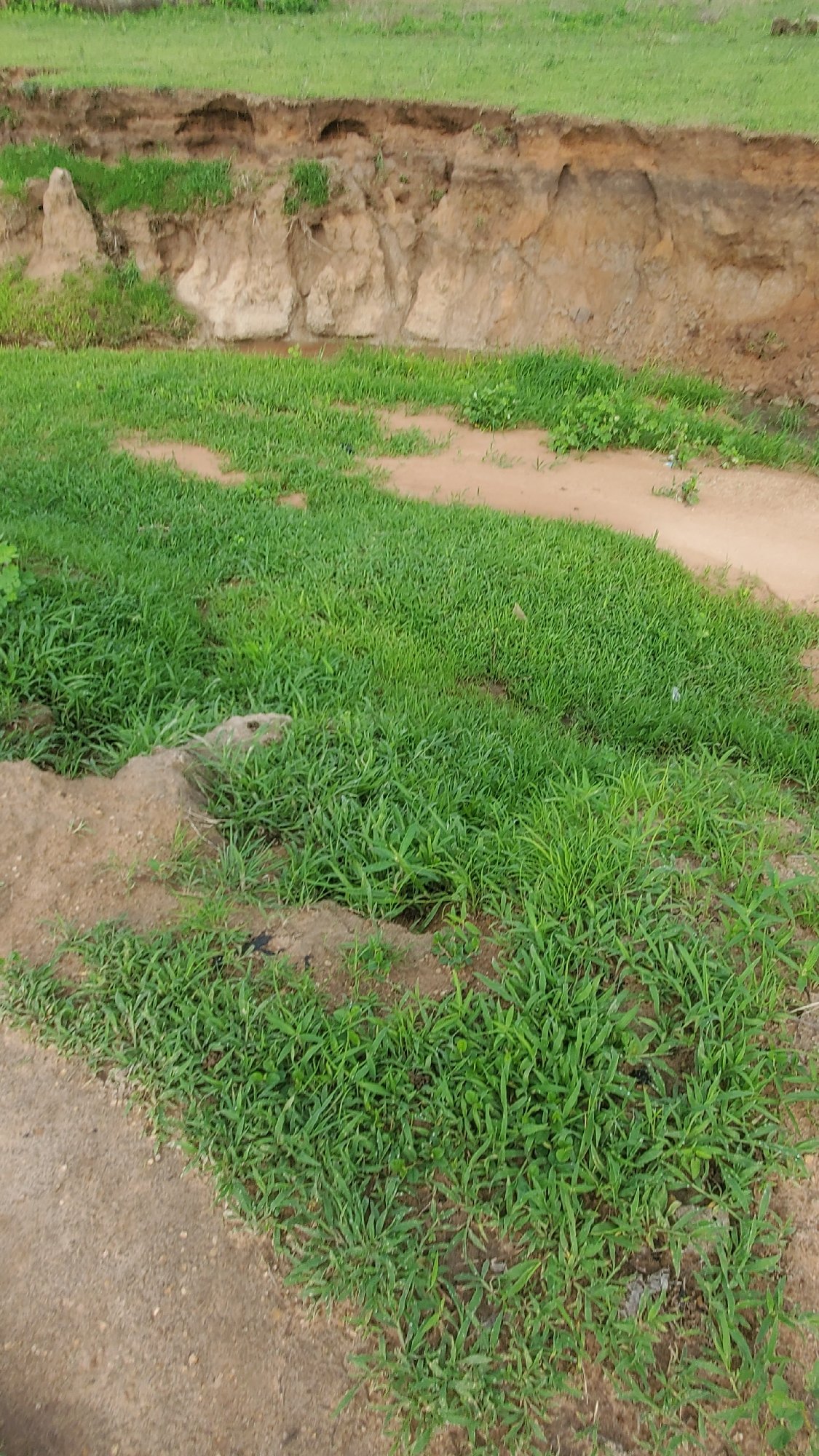 Rural construction site documentation shows mixed development and natural features