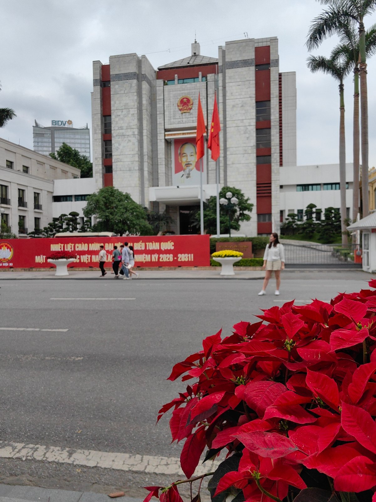 Morning moments captured around Hà Nội: flowers and lakeside selfies
