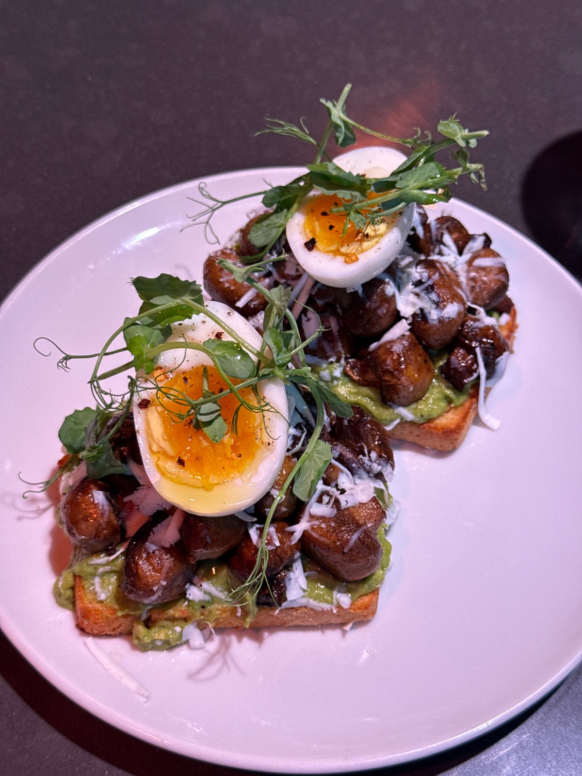 Avocado toast and a napping dog: a low-key Montreal evening