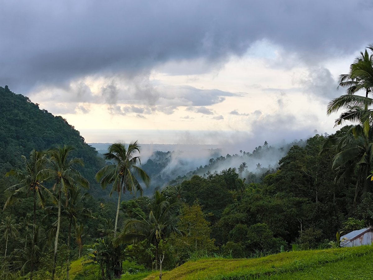 Tropical landscape documented near Sekumpul, Indonesia