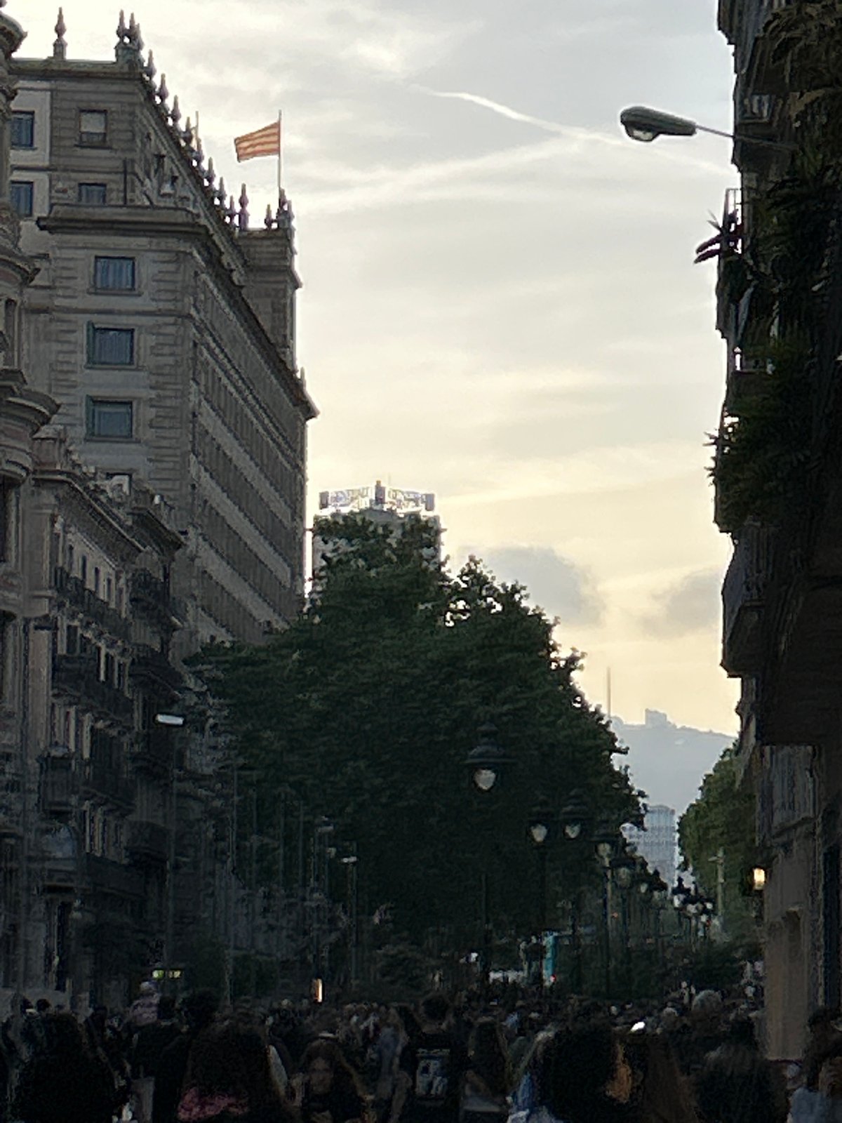 Evening street life documented across Barcelona neighborhoods