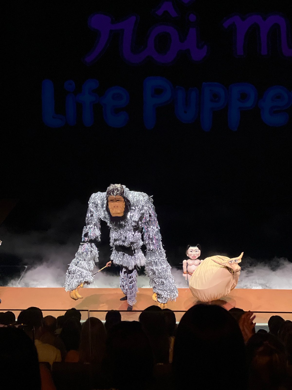 Puppet theater performance captured in Bac Nha Trang Ward