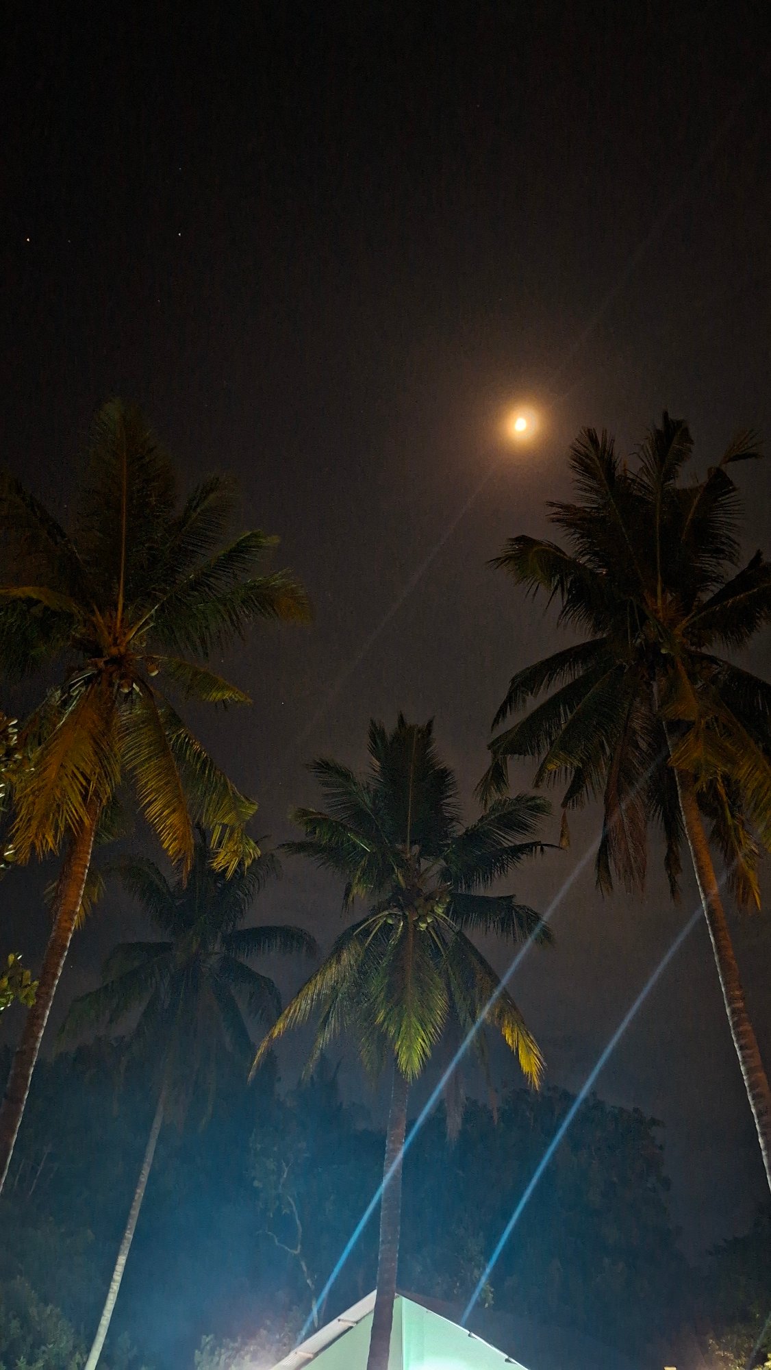 Abandoned, fire-damaged van on overgrown lot in Lhokseumawe at night
