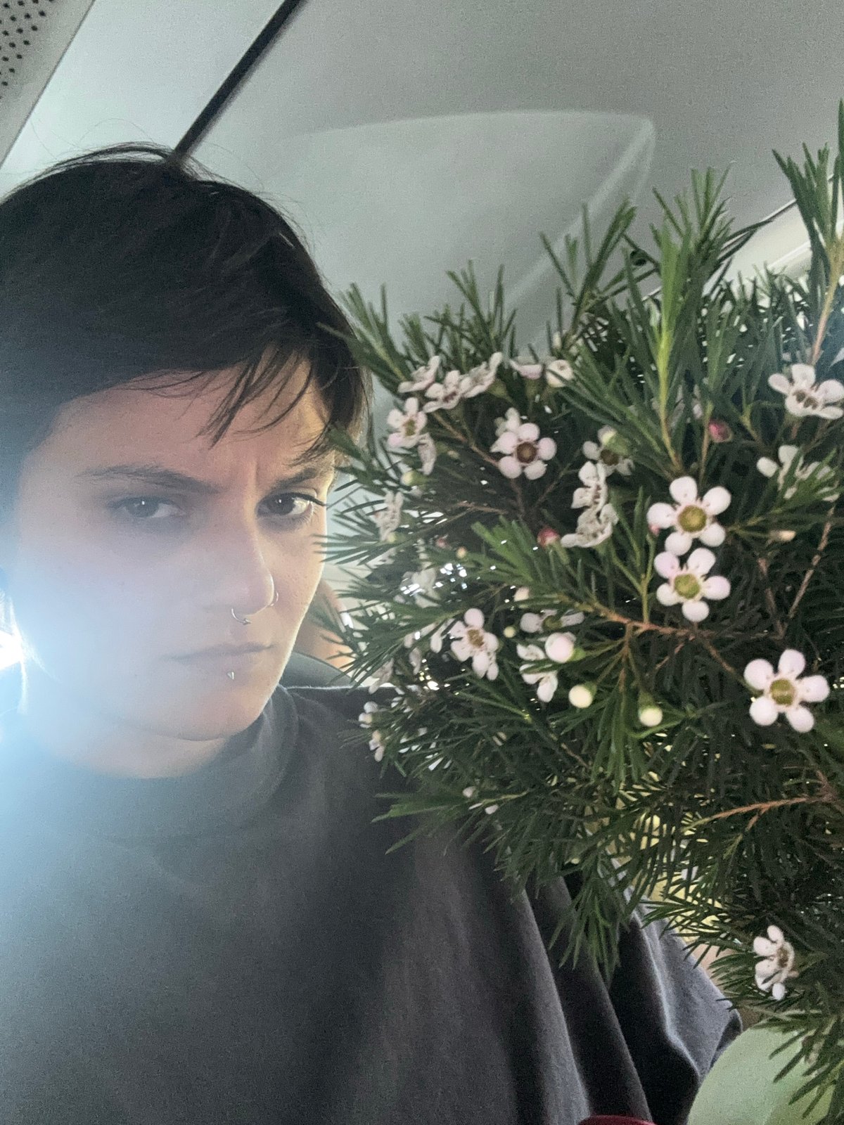 Portrait and flowers captured on Sofia public transport