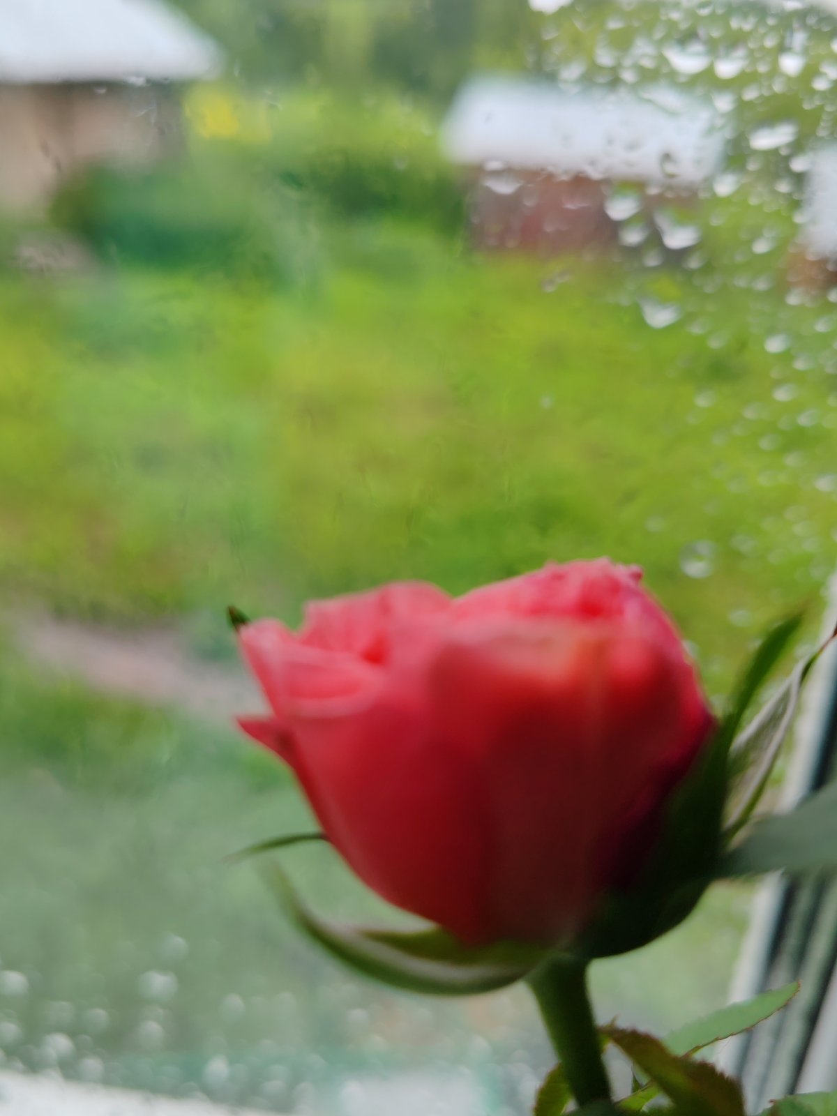 Cozy rainy-day morning in a rural Russian village