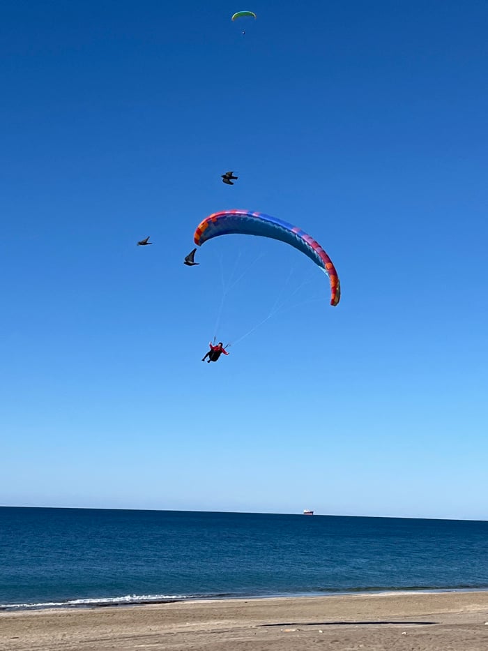 Morning paragliding and beach activities documented in Alanya, Turkey