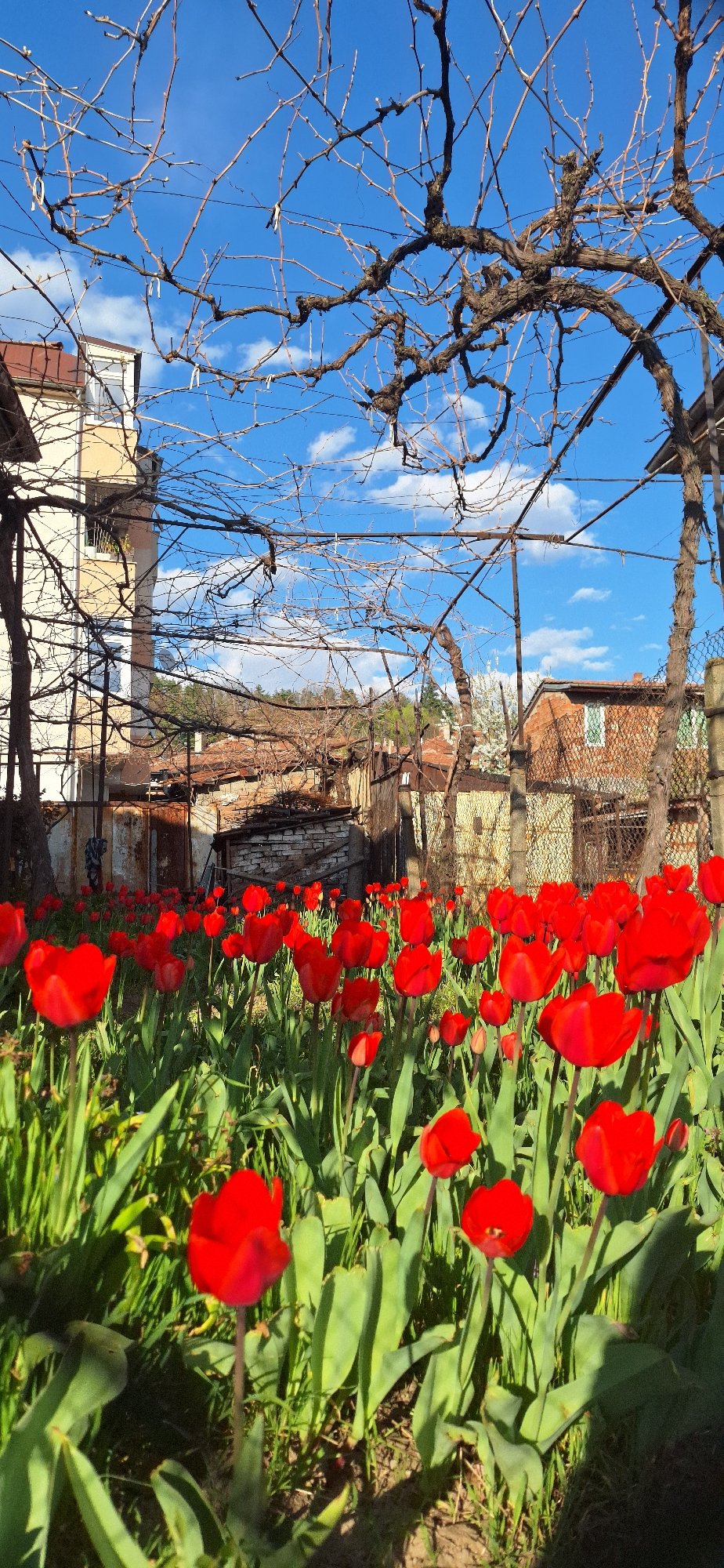 Spring day documented through 30 scenes in Blagoevgrad, Bulgaria