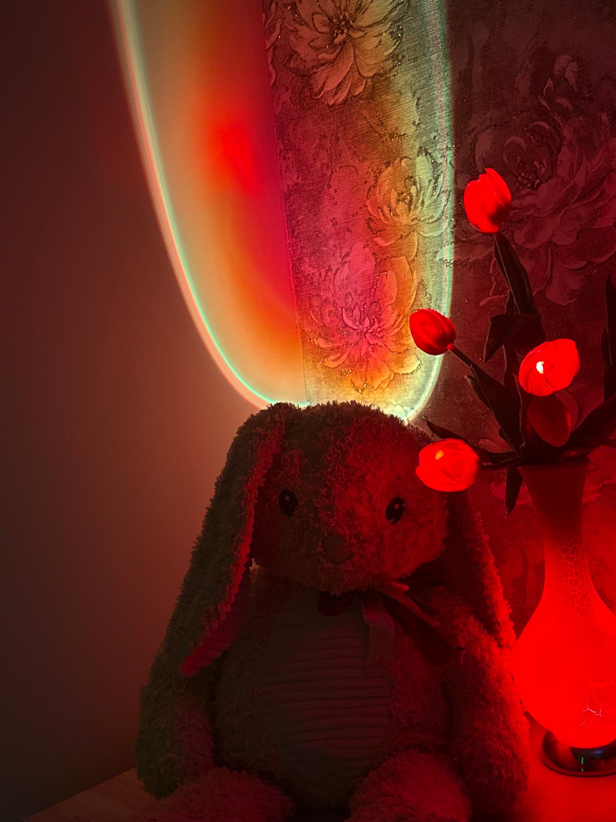 Indoor art photography session features colorful projected lighting effects