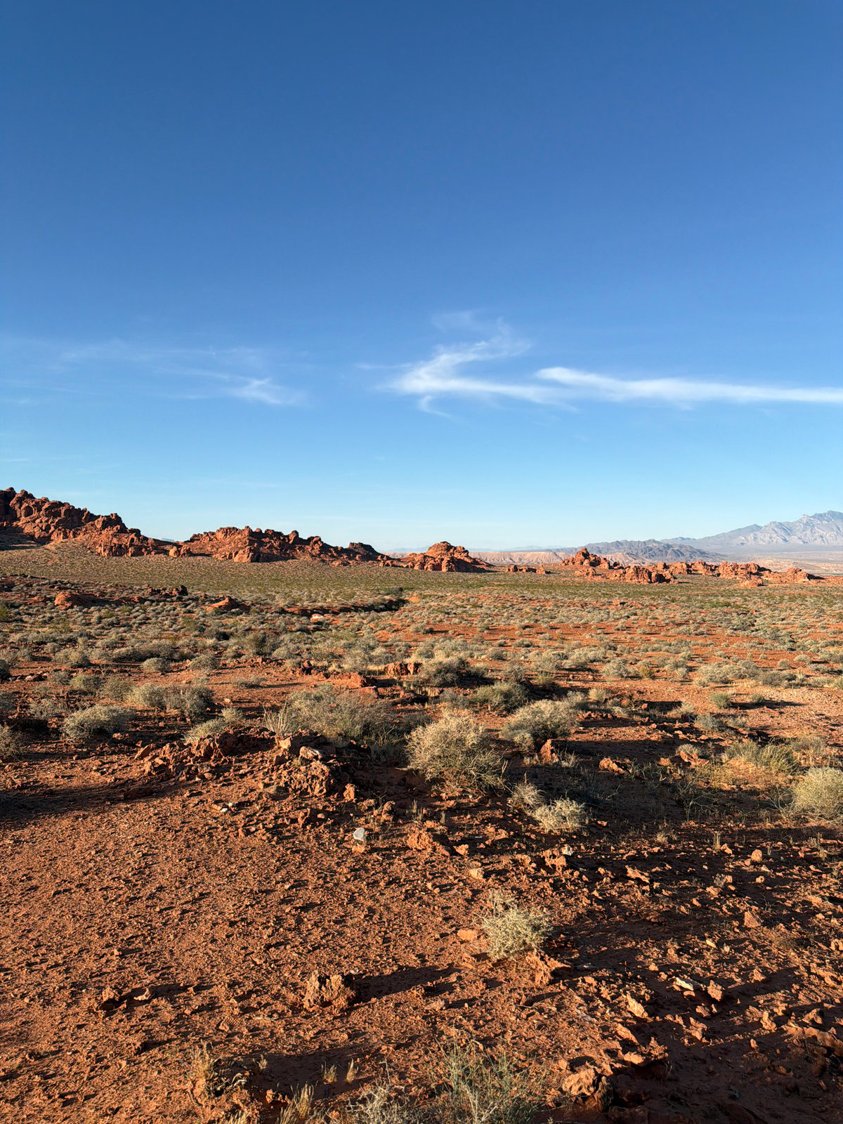 Desert landscape documented in Moapa Valley, Nevada