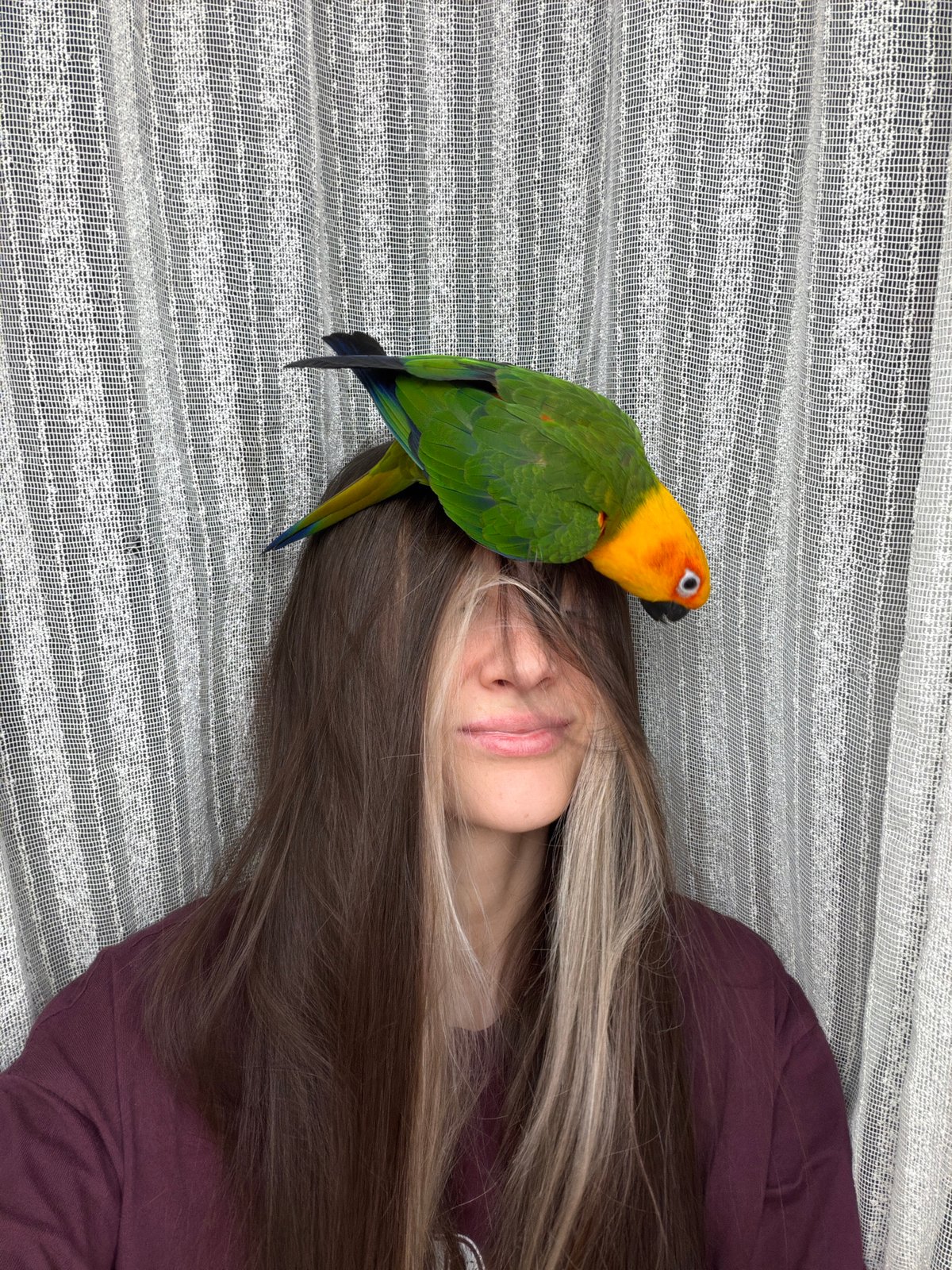 Woman shares tender morning moment with sun conure parrot