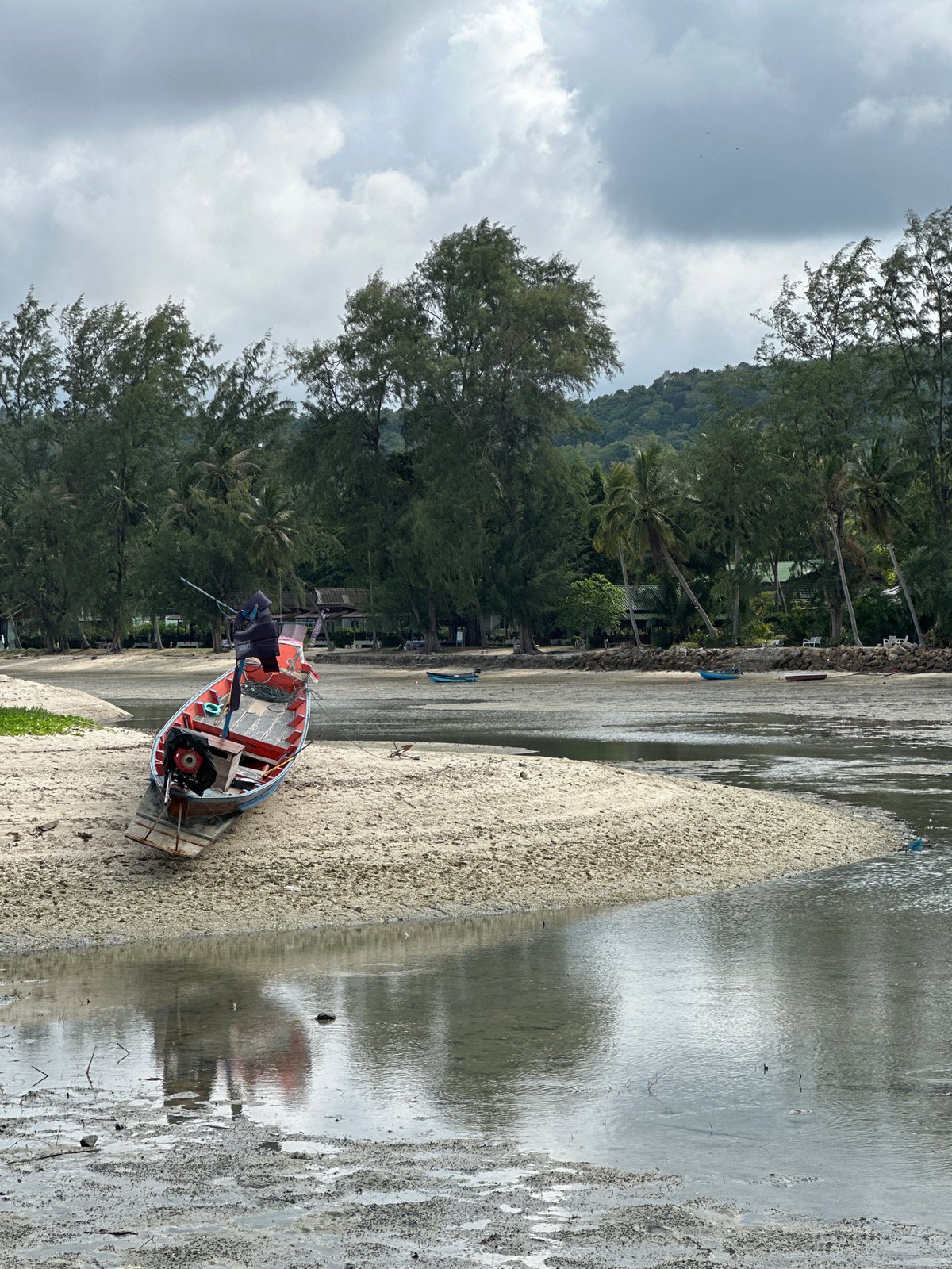 Low tide morning on Ko Pha Ngan with a beach-roaming dog