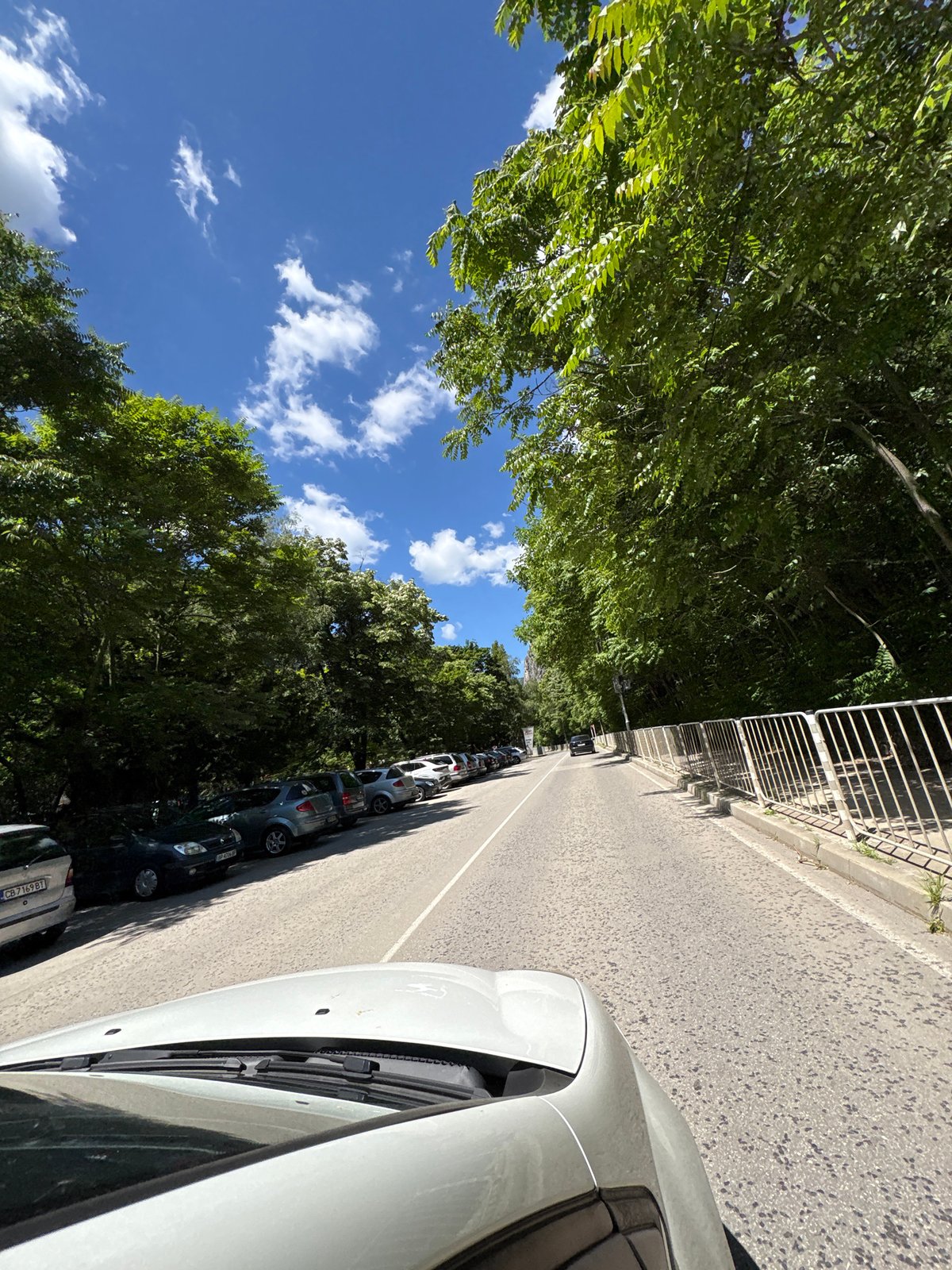Drive through tree-lined streets and outskirts of Vratsa, Bulgaria