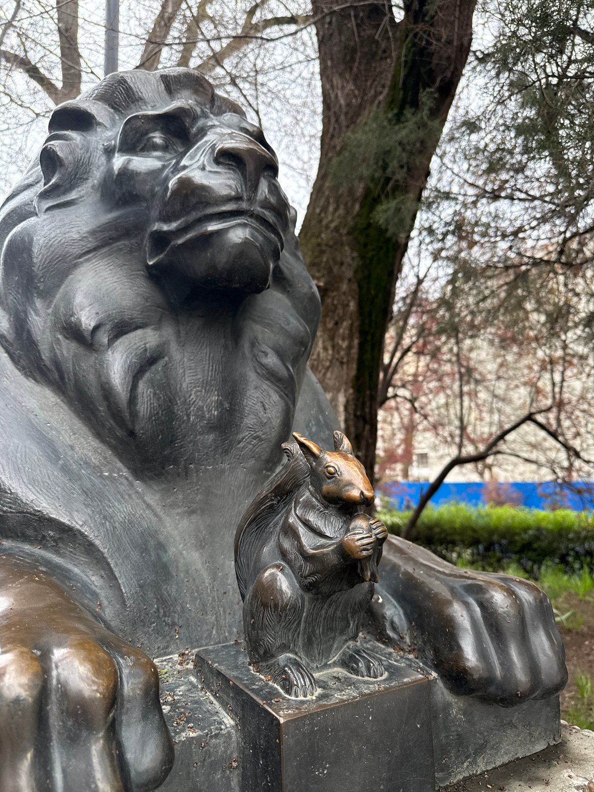 Afternoon moments captured at Rostov-on-Don sculpture and cafe