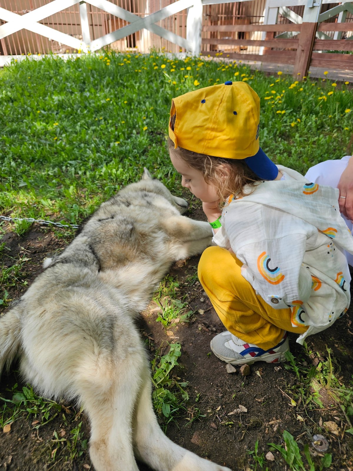 Child enjoys park day in Khimki, Russia