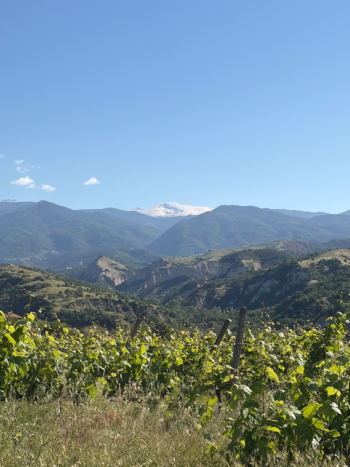 Morning vineyard landscape documented across mountainous rural settlement