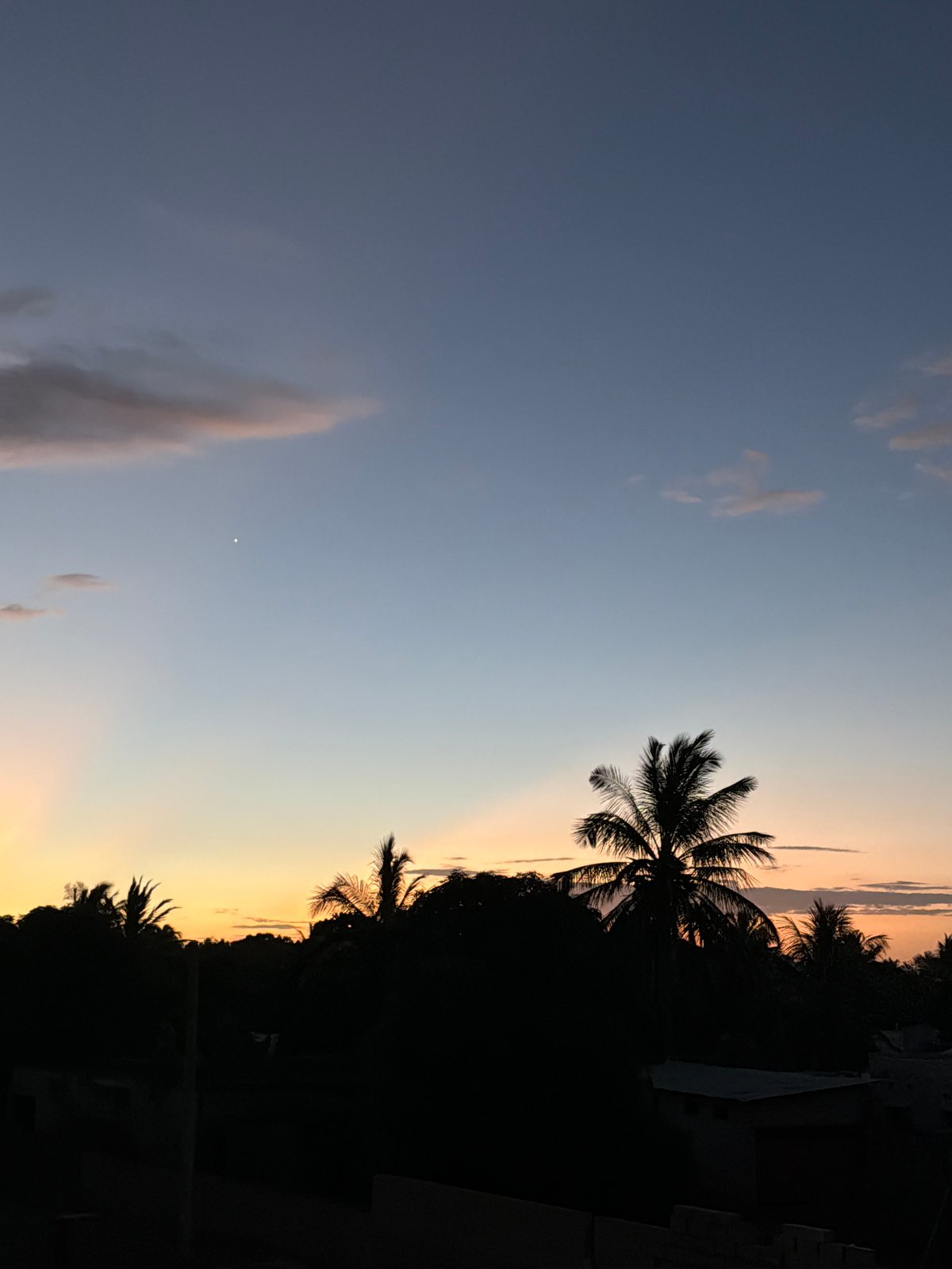 Observer documents twilight scenes and urban landscapes over afternoon