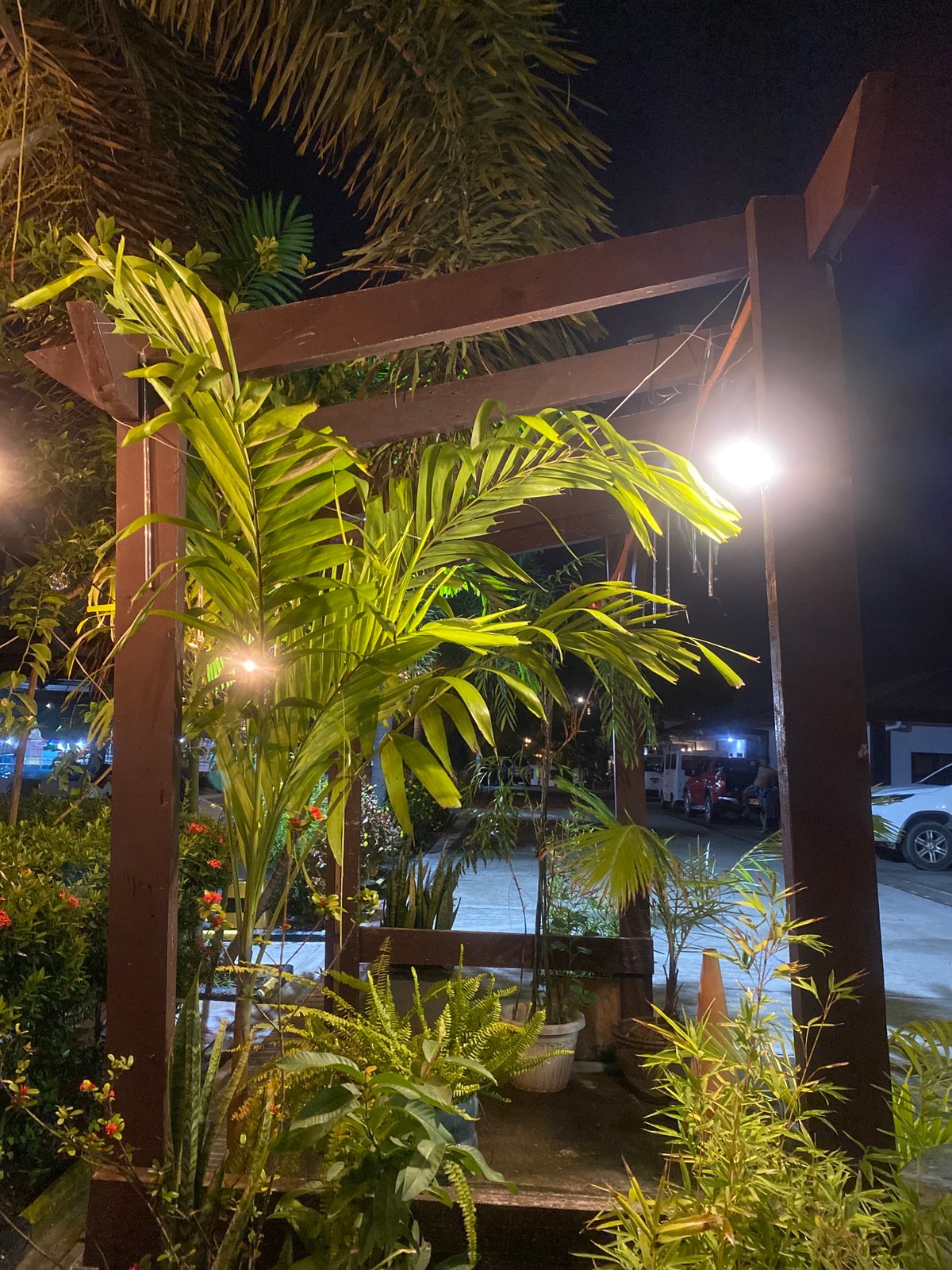 Birthday night party with live band at Davao City resort