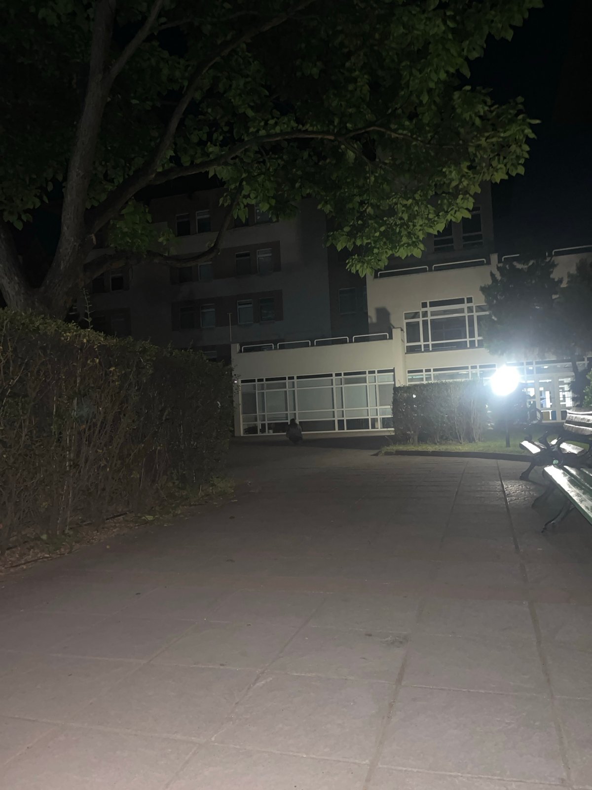 Nighttime street walk documented in Blagoevgrad, Bulgaria