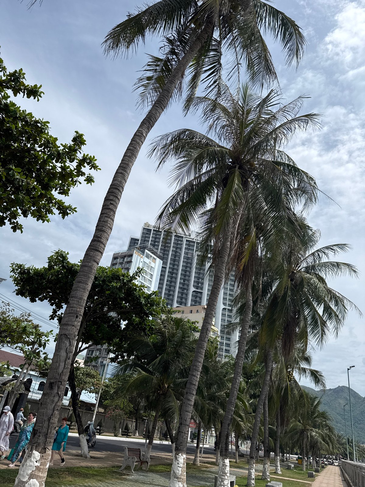 Nha Trang beachfront stroll, fishing pier, and a Pikachu bus