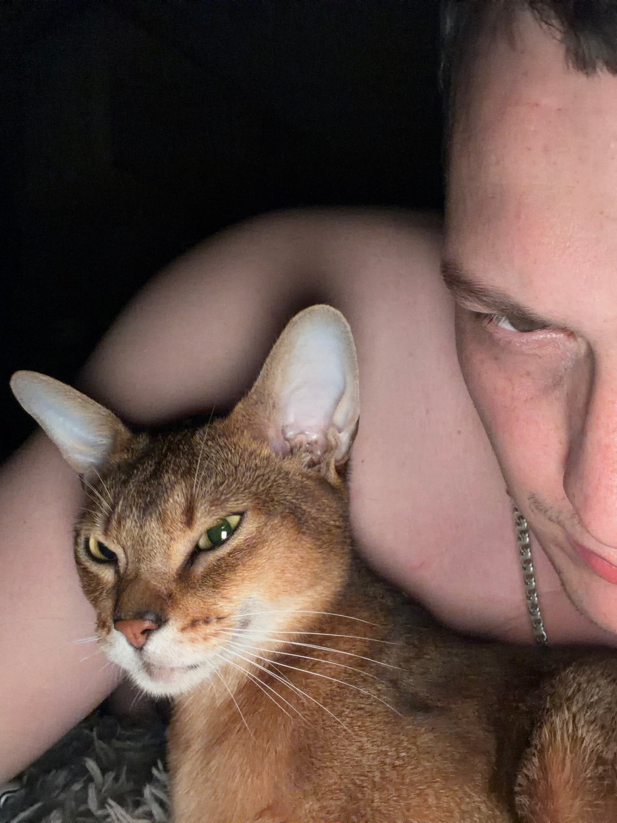 Cat owners share tender moments in Chaikovsky, Russia