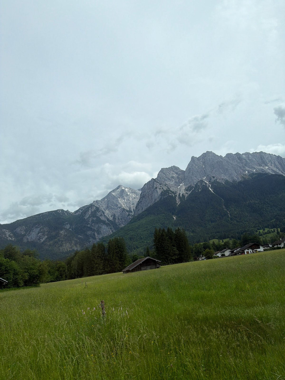 Rotated landscape photo captured in Grainau mountain region