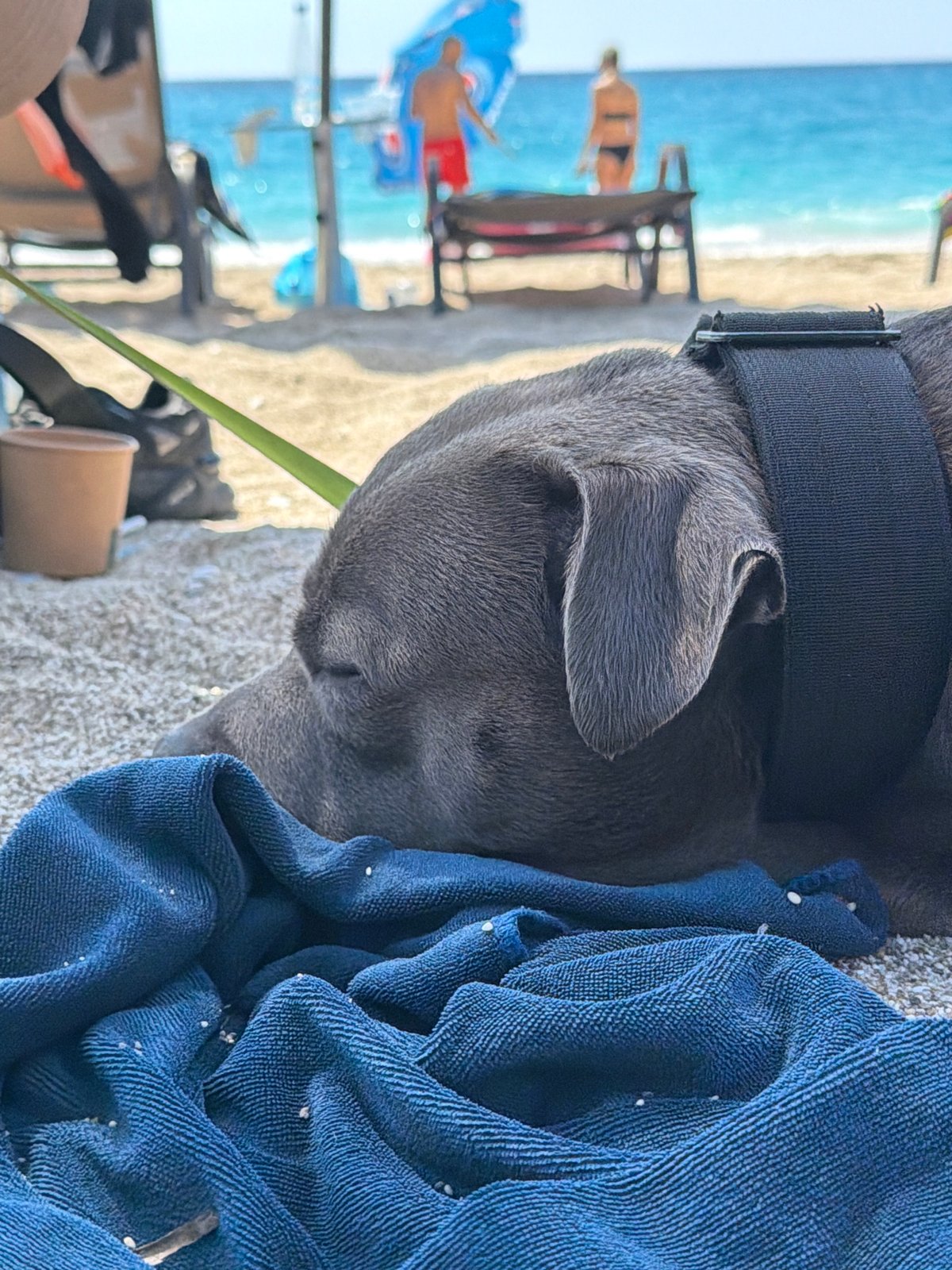 Beach day memories captured in Lefkada, Greece