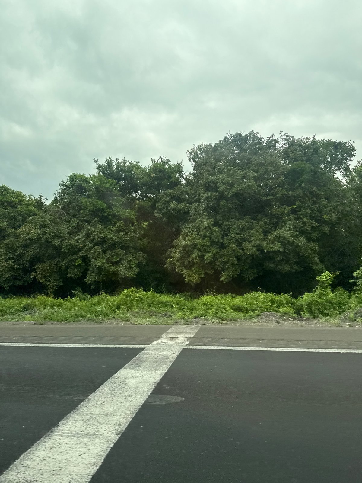 Brief vehicle journey documented in Zaragoza, Mexico