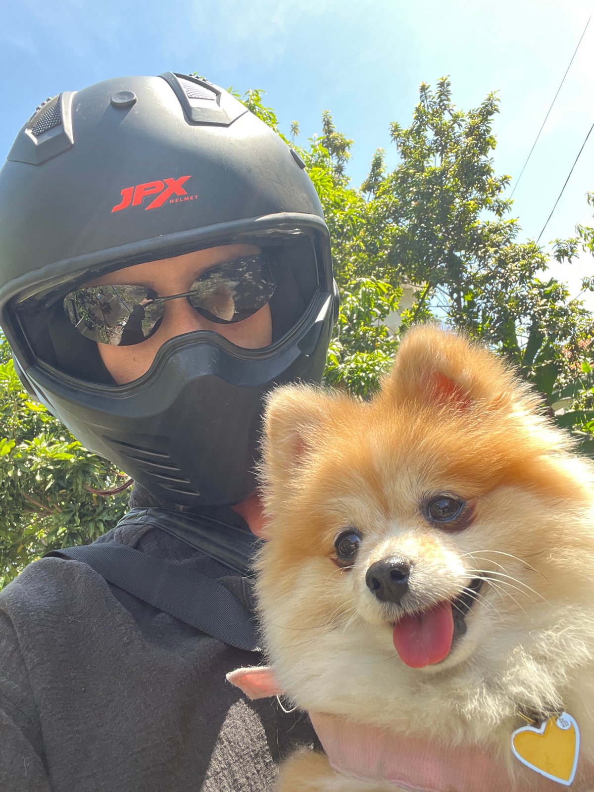 Motorcyclist travels with Pomeranian companion in Kuta Selatan