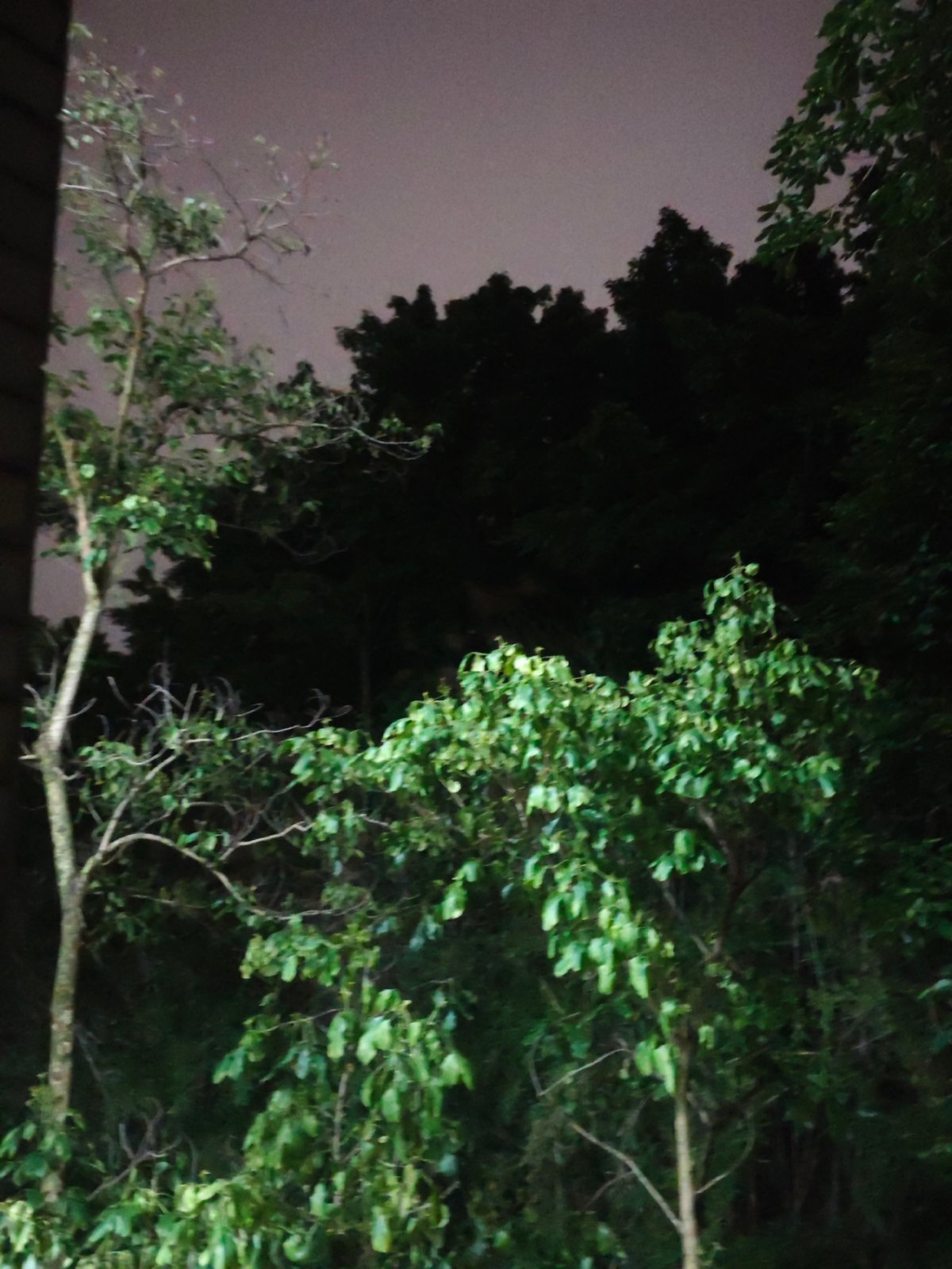 Evening scenes documented in Chongqing High-tech Zone park area