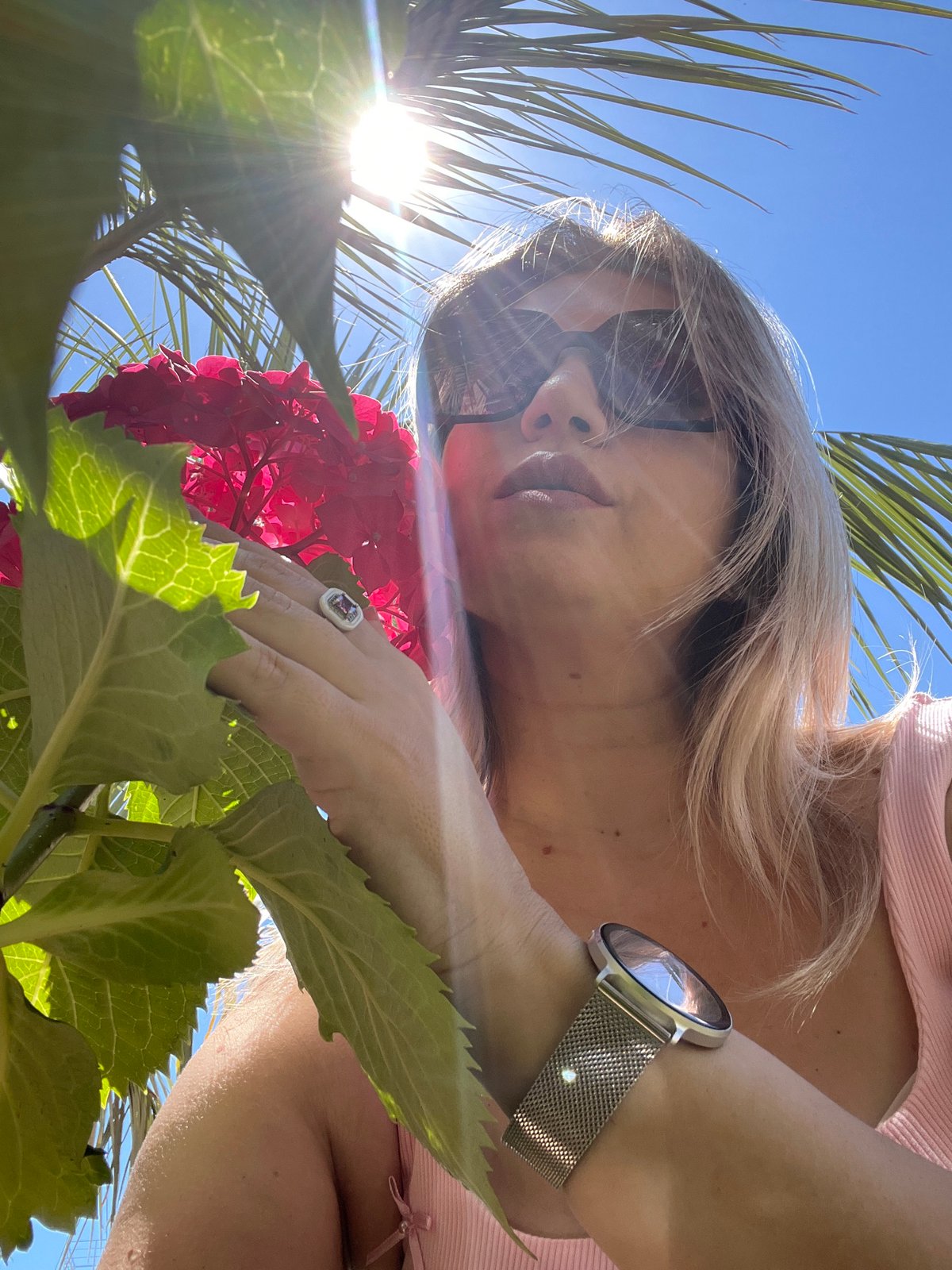 Summer morning among Sochi's blooming gardens and streets