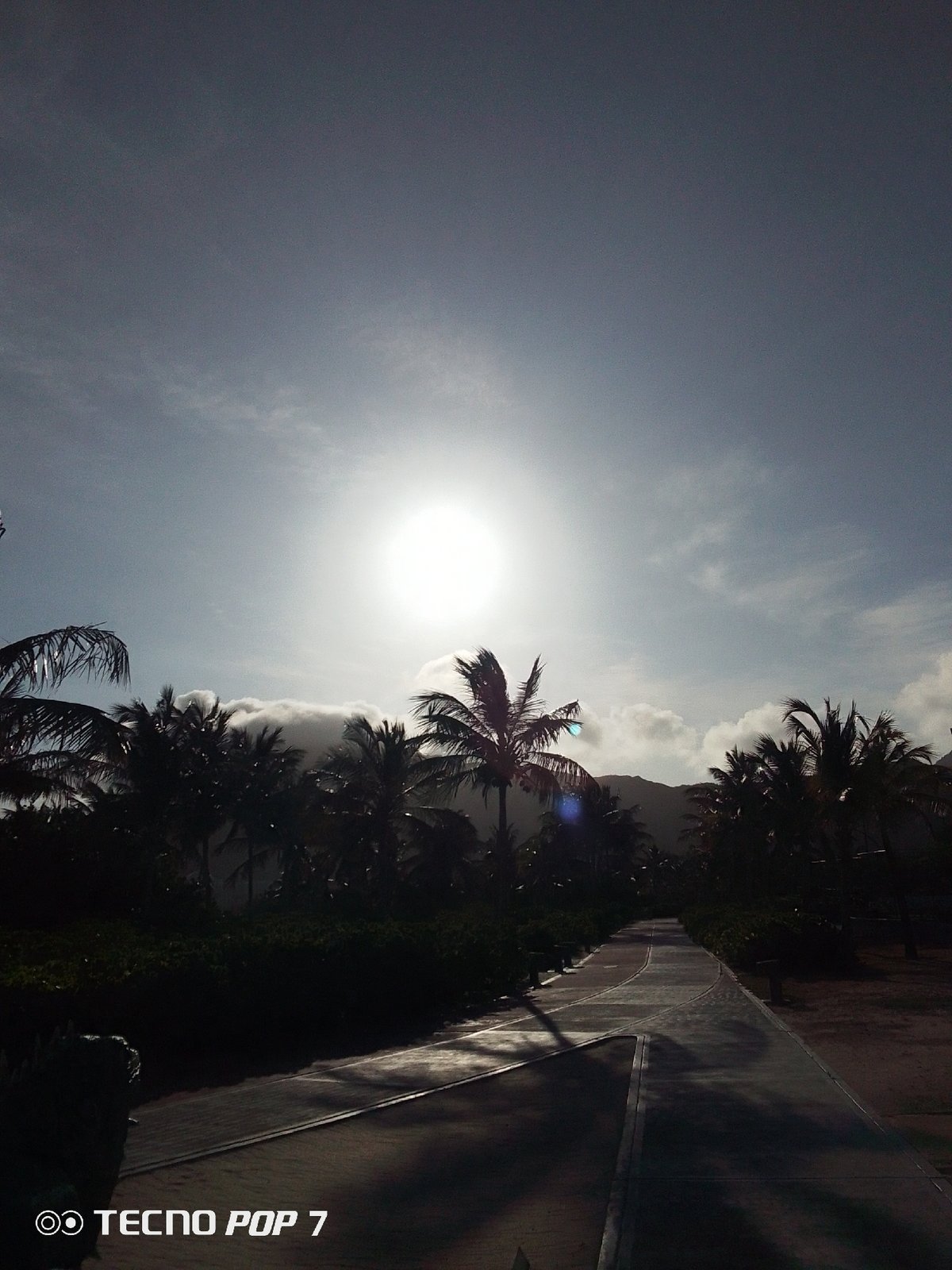 Tropical morning scenes documented in Pedro González, Venezuela