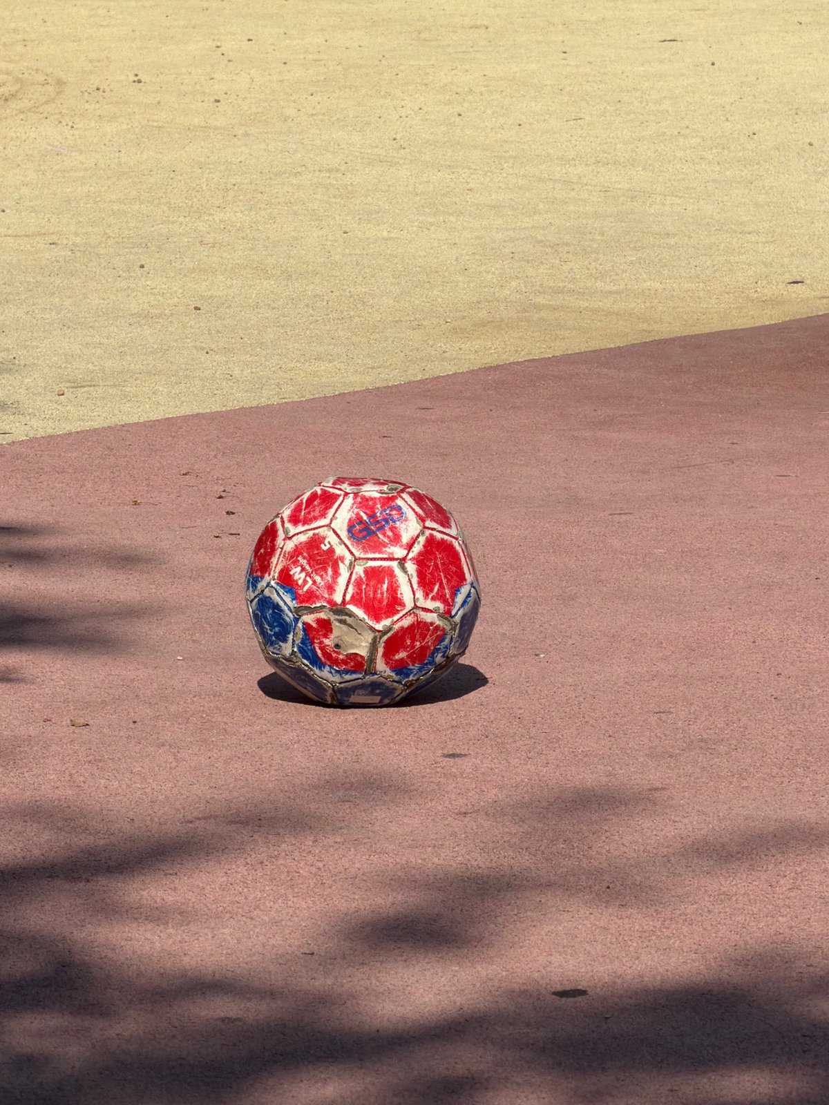 Afternoon at the park: playground, a dog, apples, and a bus