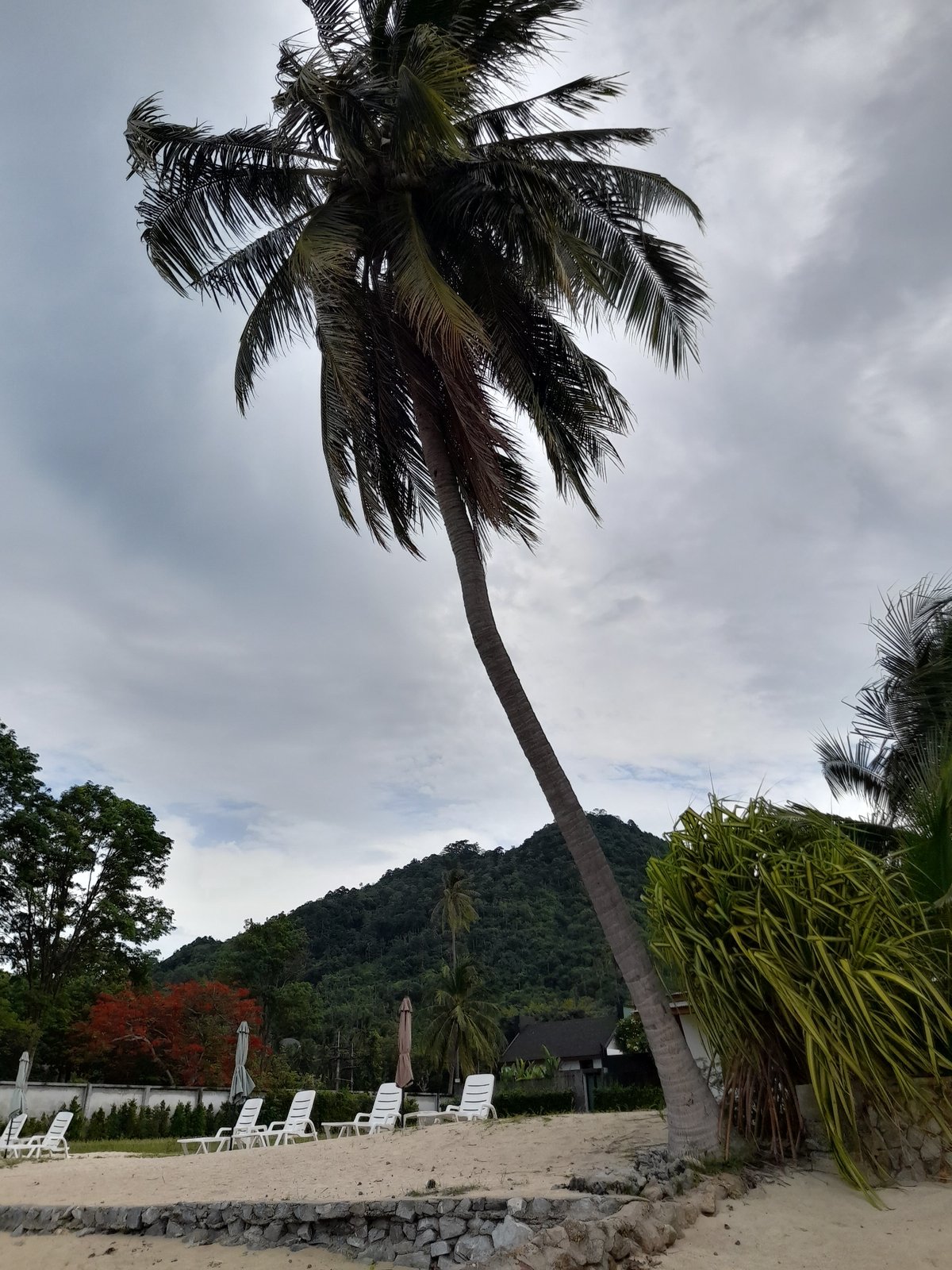Cloudy low-tide morning at a rocky tropical beach
