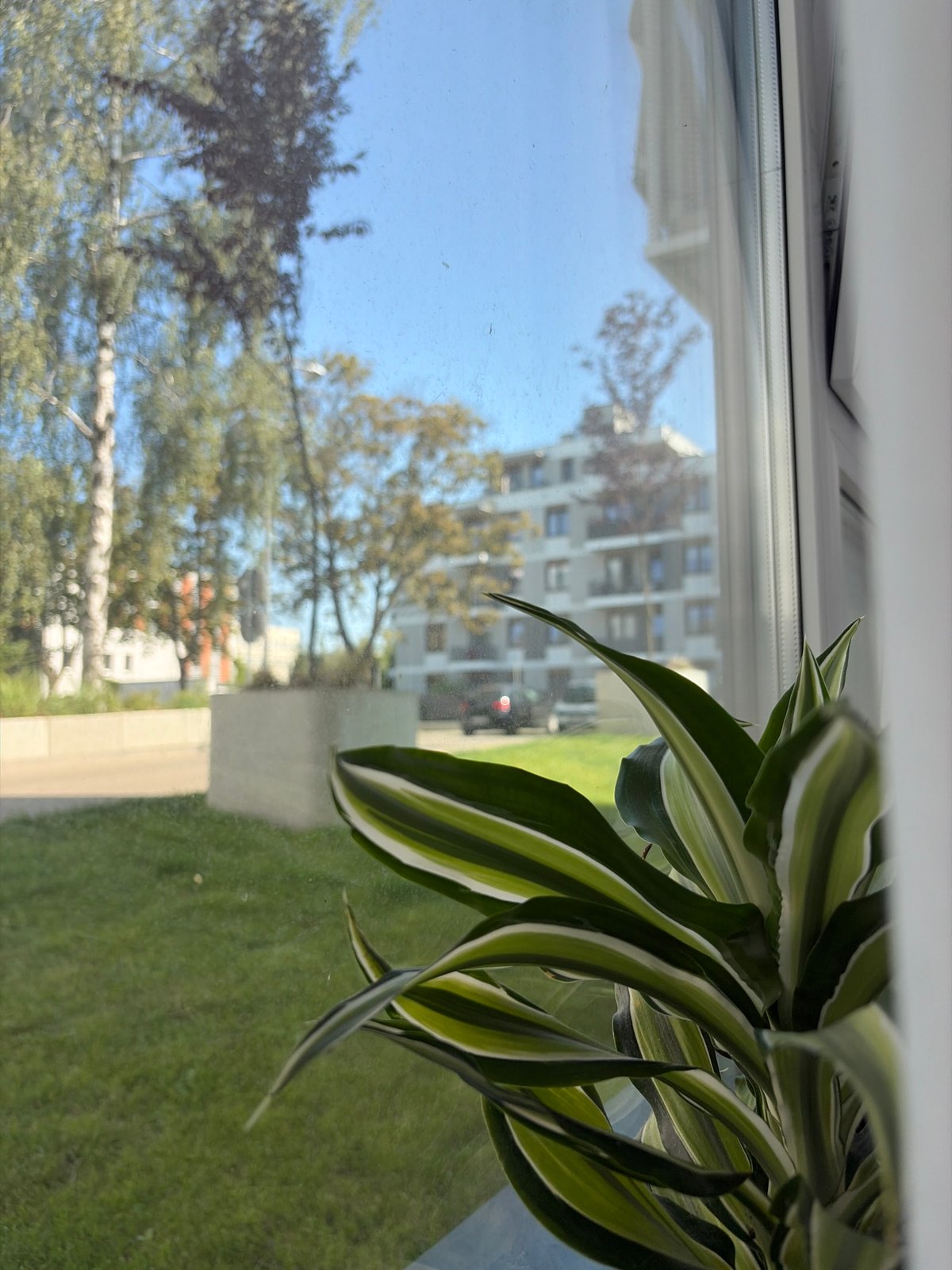 Quiet summer morning around a modern Poznań residential complex