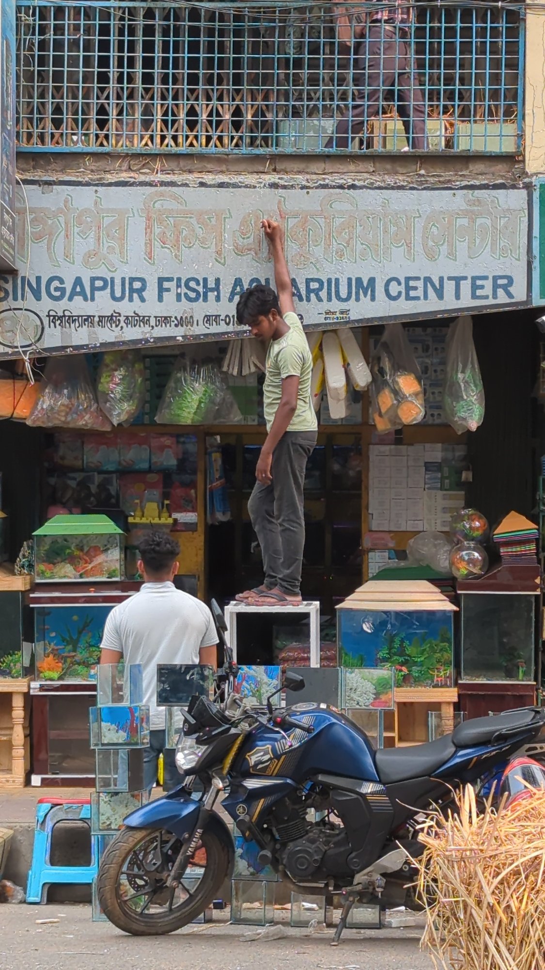 Morning street life documented near Dhaka aquarium shop