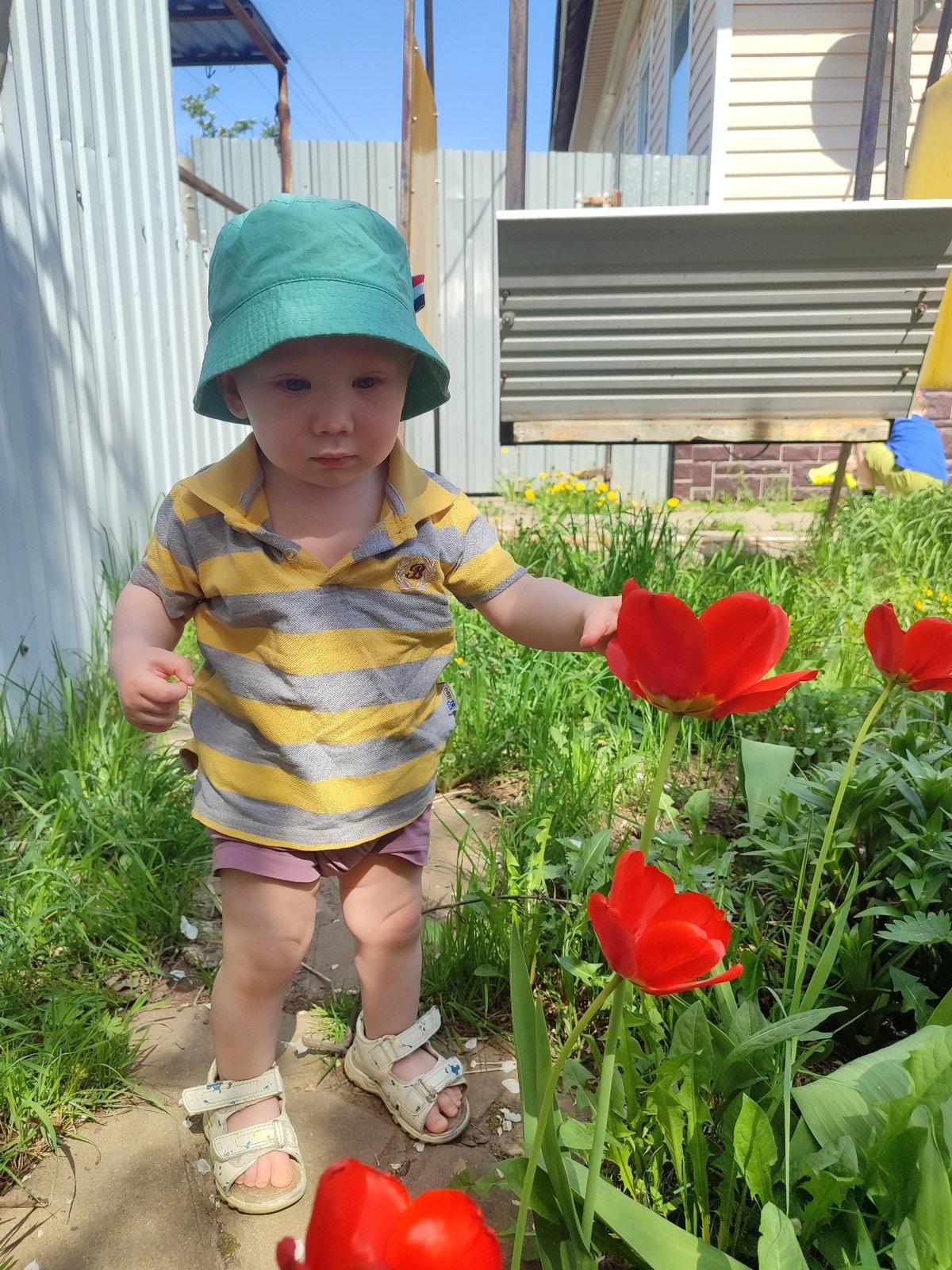 Spring morning life captured in rural Russian village