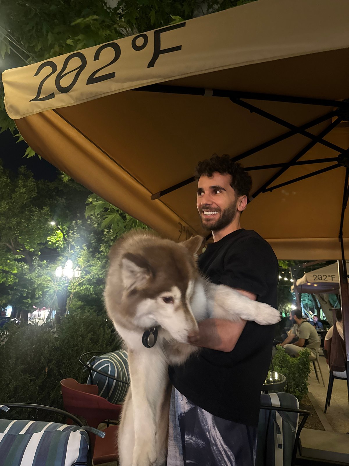 A night out at a Yerevan bar, streets alive outside
