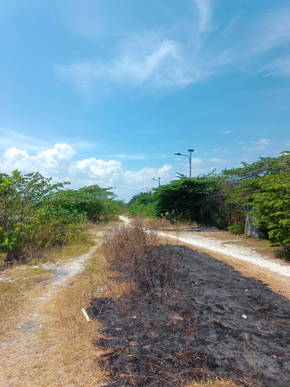 Dirt paths and calm water near Gorontalo's rural landscape